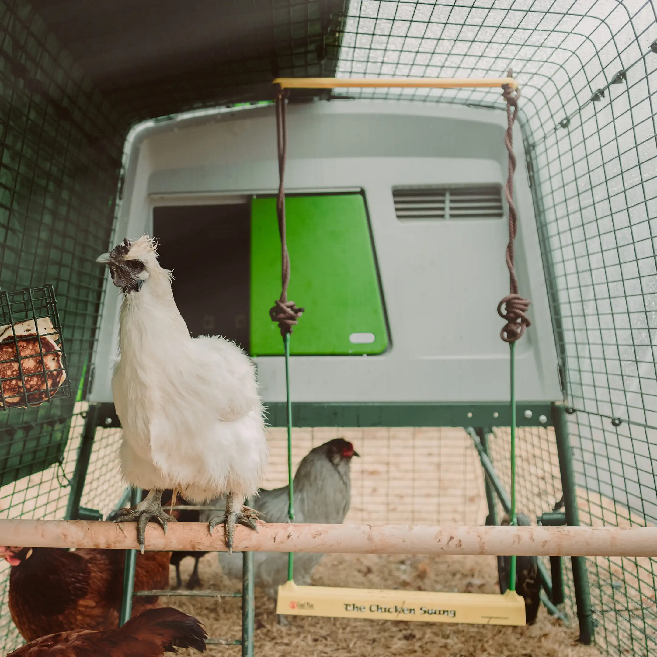 Omlet Chicken Perch -  3ft
