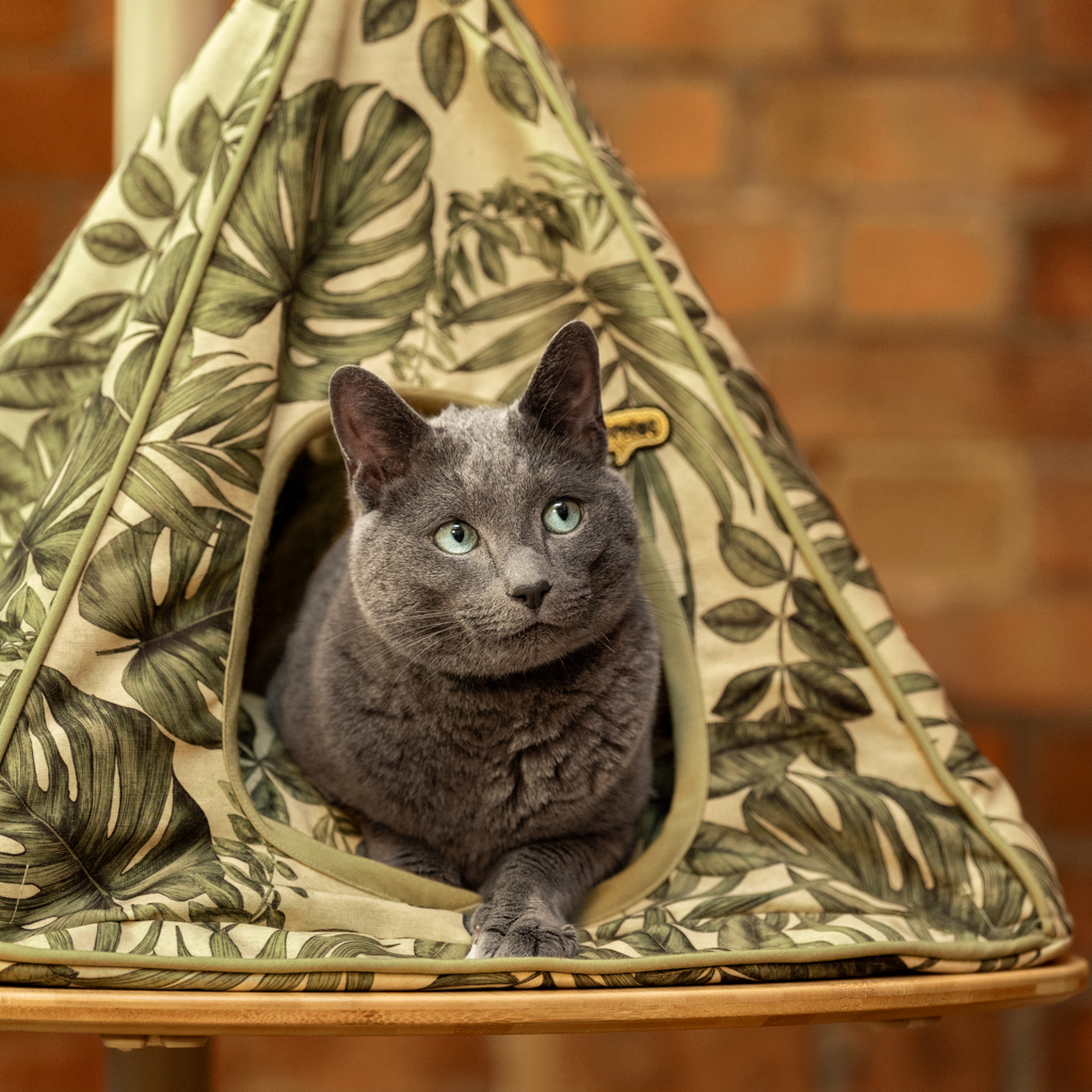 Freestyle Cat Tipi - Secret Garden