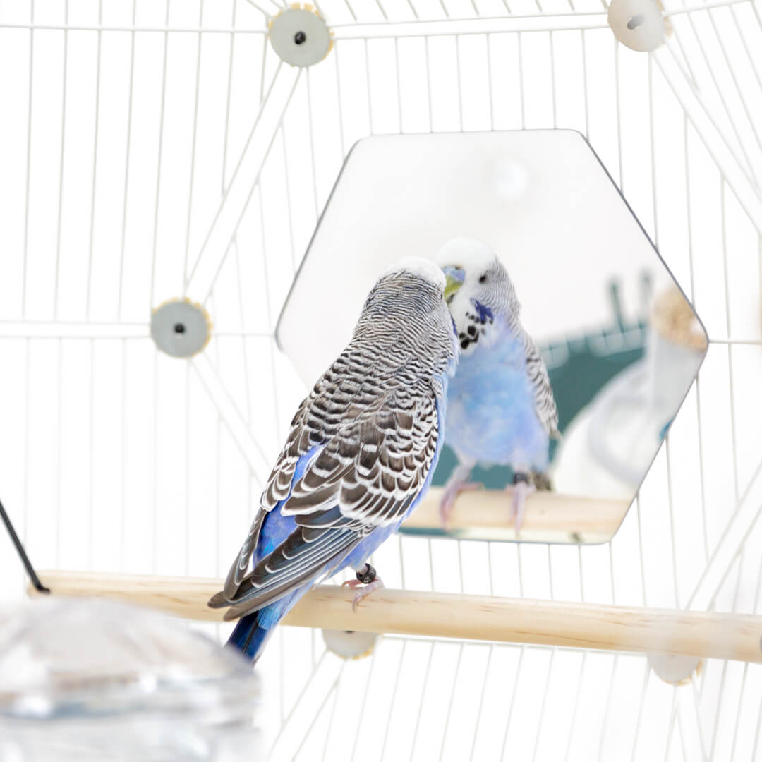 178-geo-bird-mirrors-pack-of-2-1.jpg