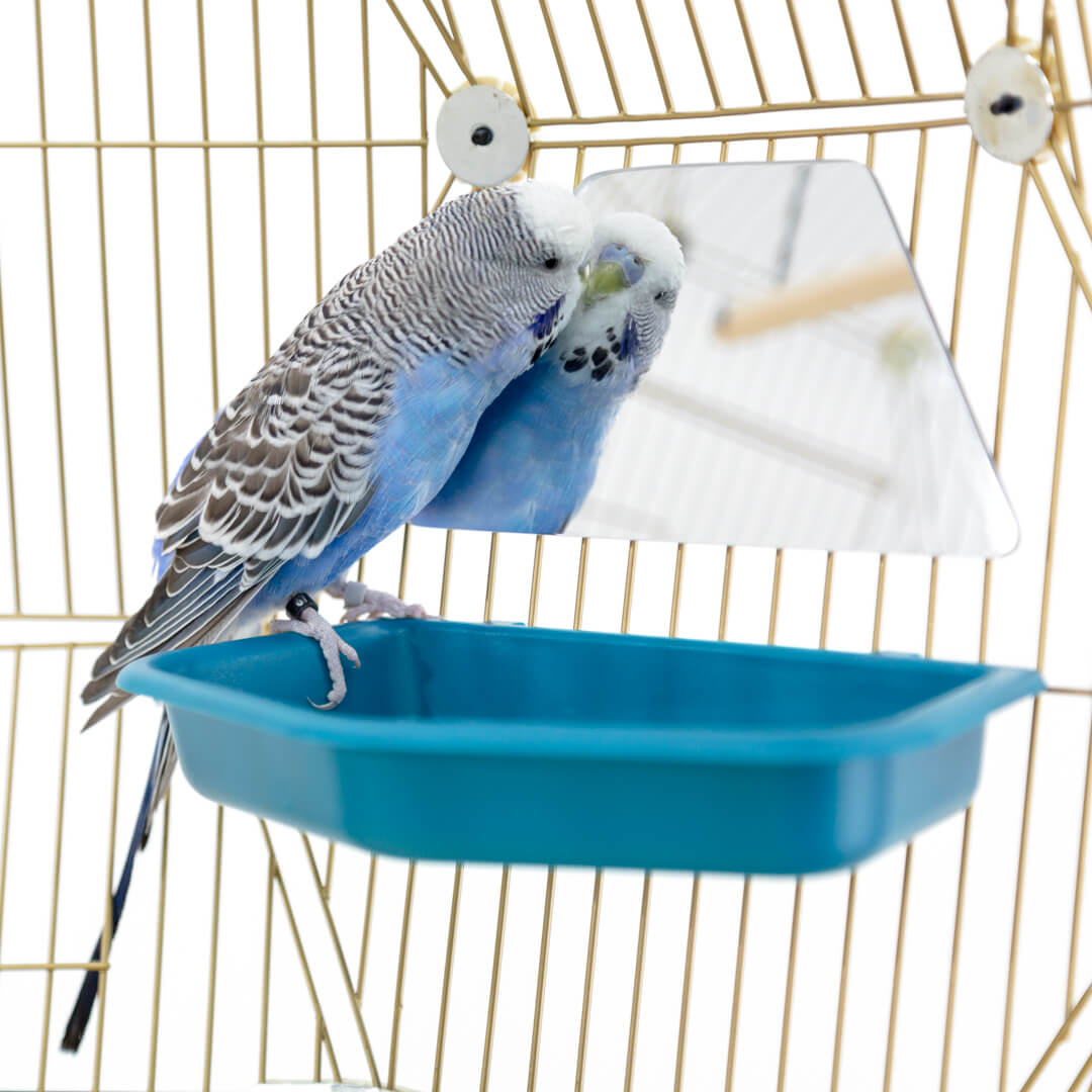 178-geo-bird-mirrors-pack-of-2-1.jpg