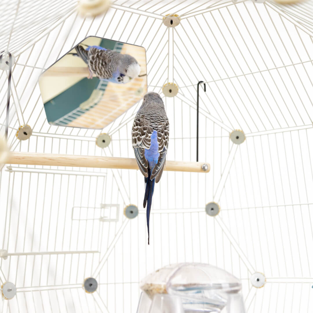 178-geo-bird-mirrors-pack-of-2-1.jpg