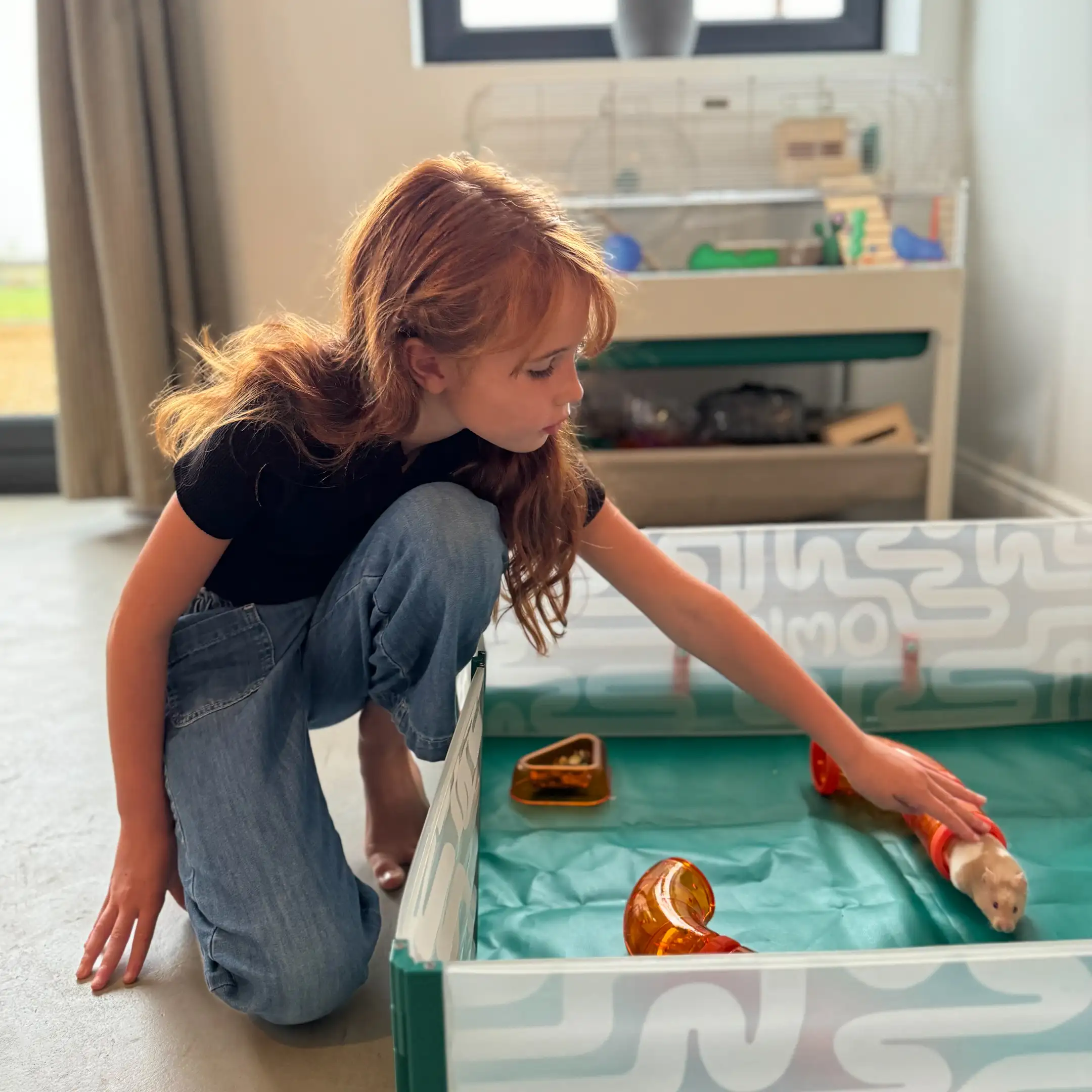 134-small-hamster-playpen-with-floor-1.jpg