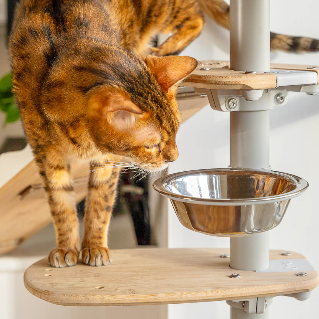 Freestyle Cat Tree - Stainless Steel Food Bowl