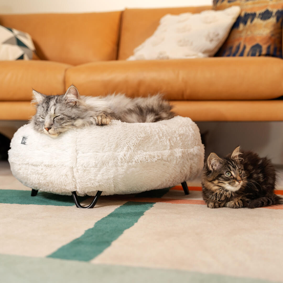 156-metal-hairpin-feet-for-donut-elevated-cat-bed-black-pack-of-4-1.jpg
