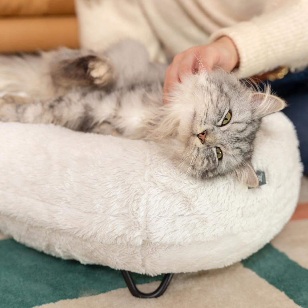 156-metal-hairpin-feet-for-donut-elevated-cat-bed-black-pack-of-4-1.jpg