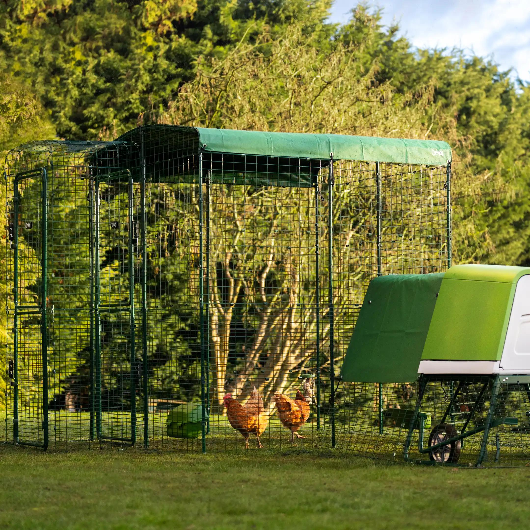 18-heavy-duty-chicken-run-cover-6ft-x-9ft-1.webp