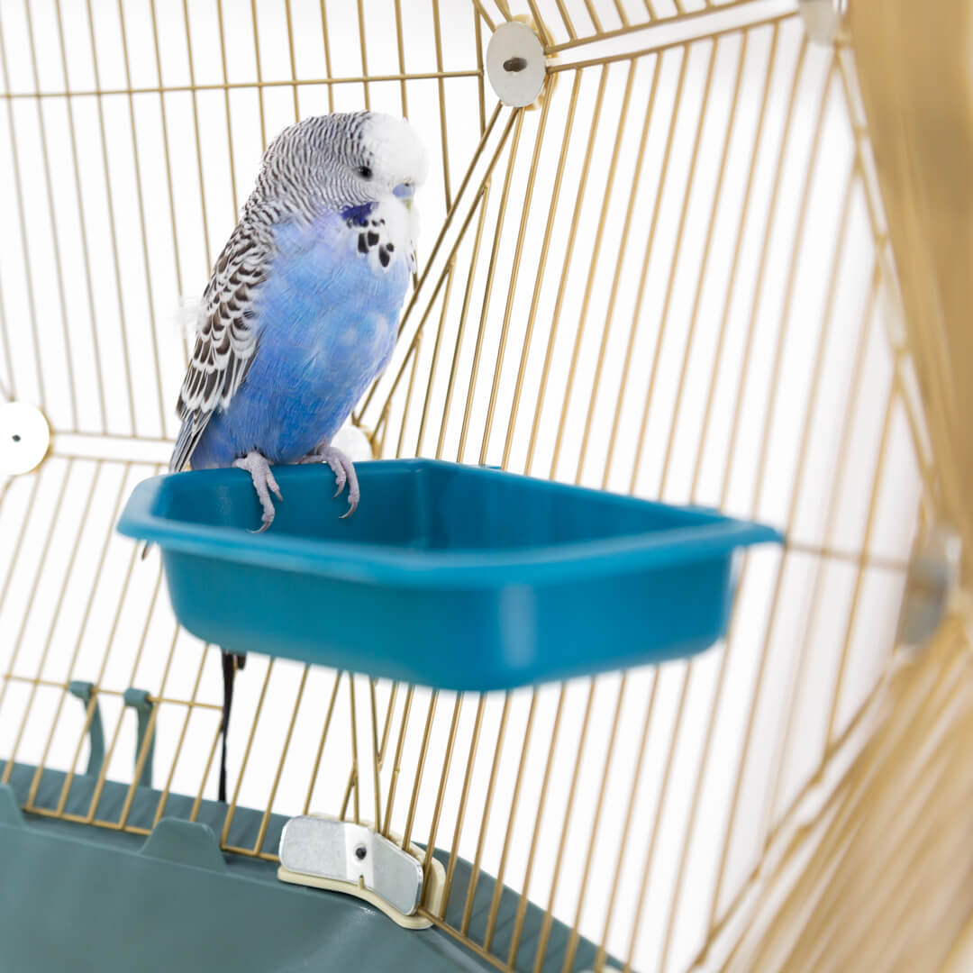 209-geo-bird-bath-1.jpg