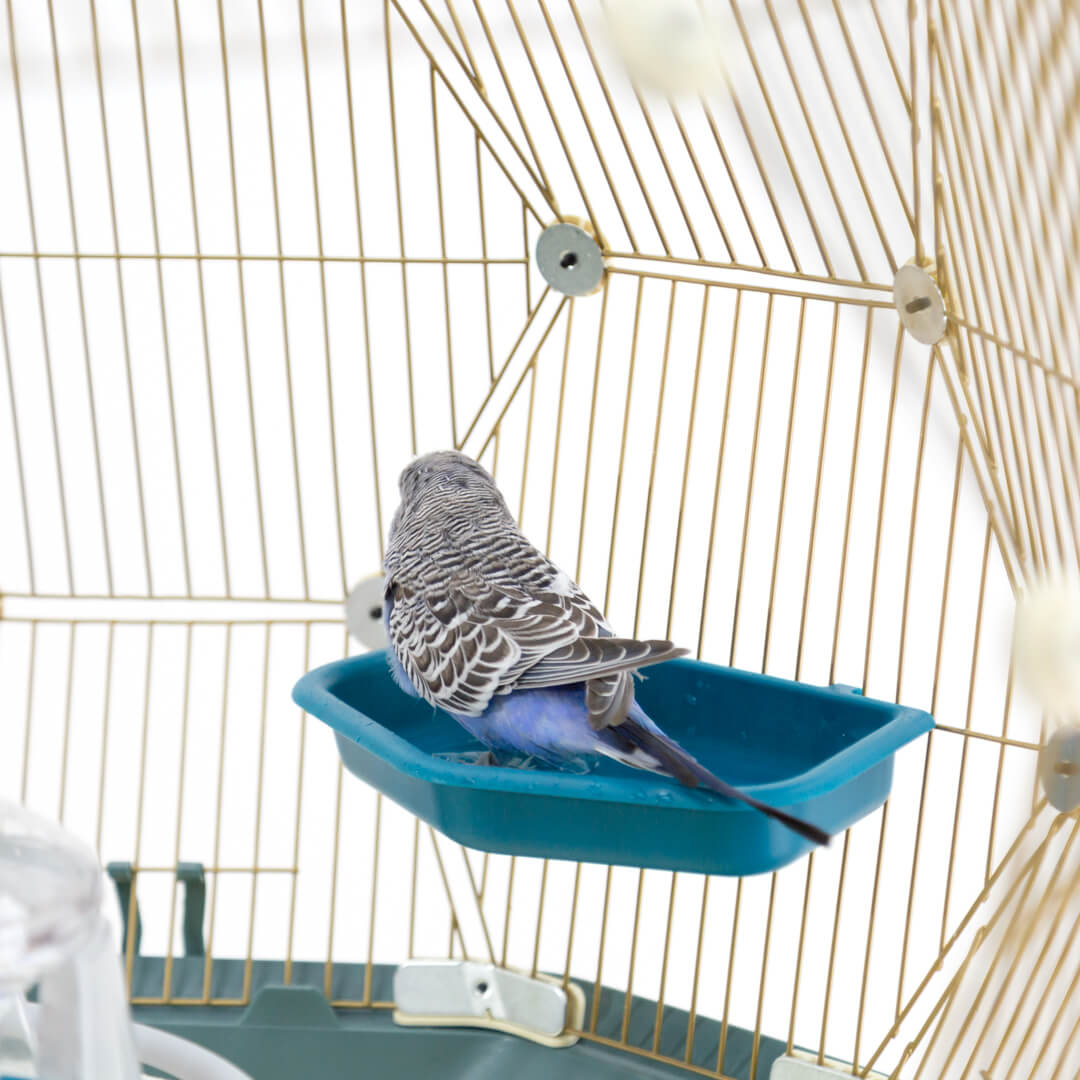 209-geo-bird-bath-1.jpg