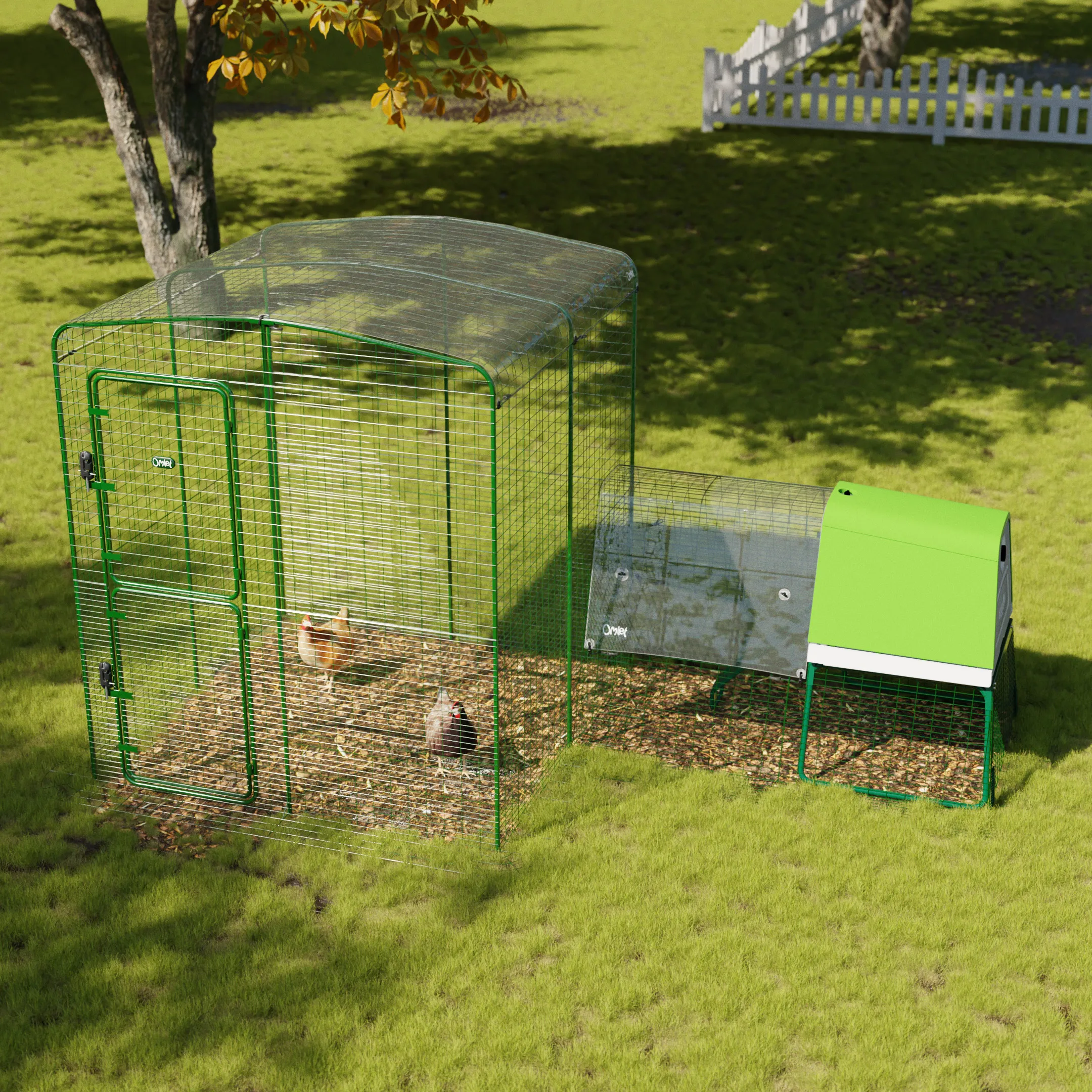 Clear Chicken Run Cover - 6ft x 6ft