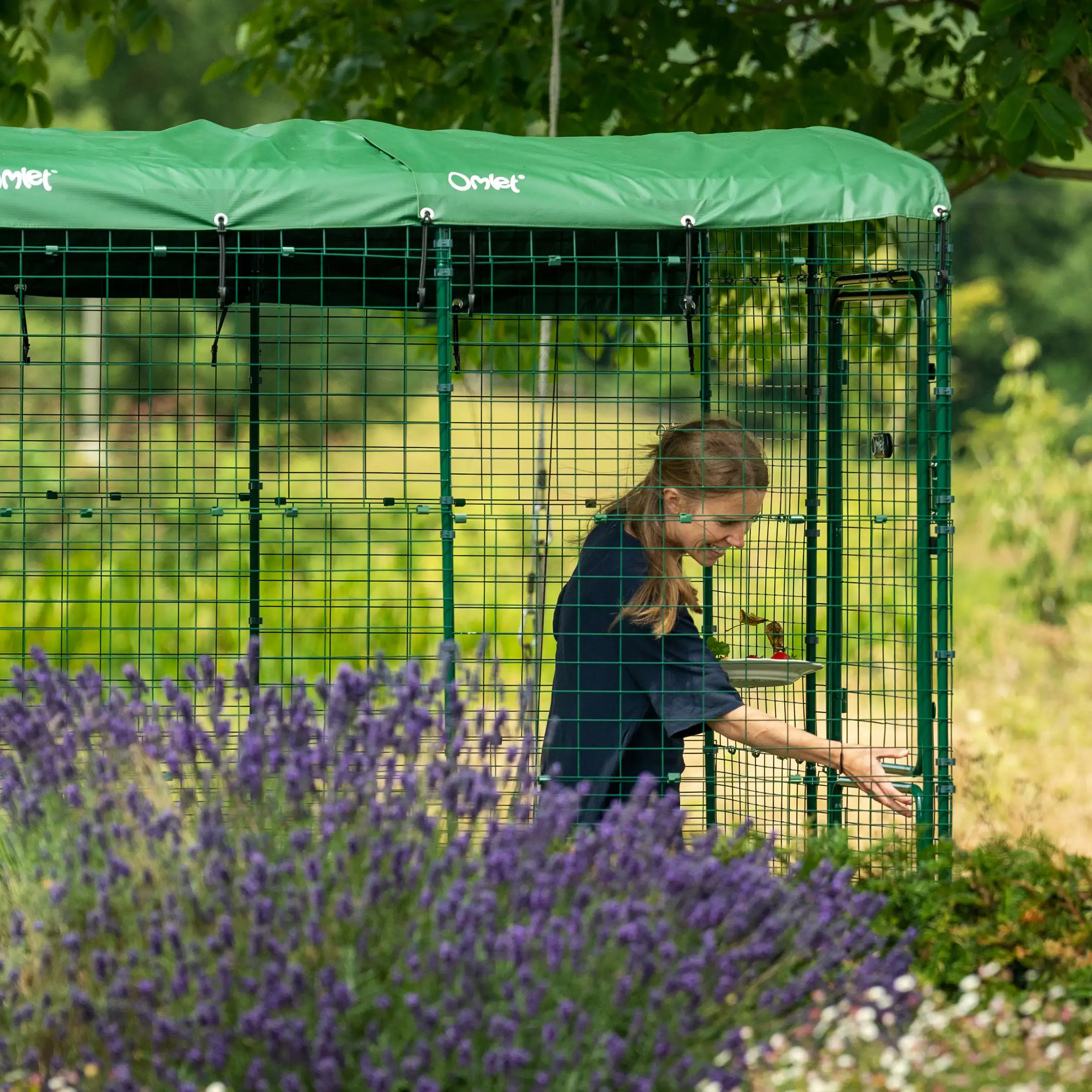 179-walk-in-chicken-run-12ft-x-12ft-1.jpg