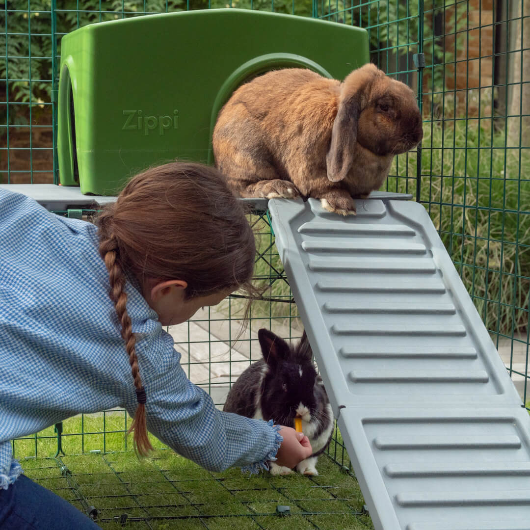 Zippi Rabbit Shelter - Green