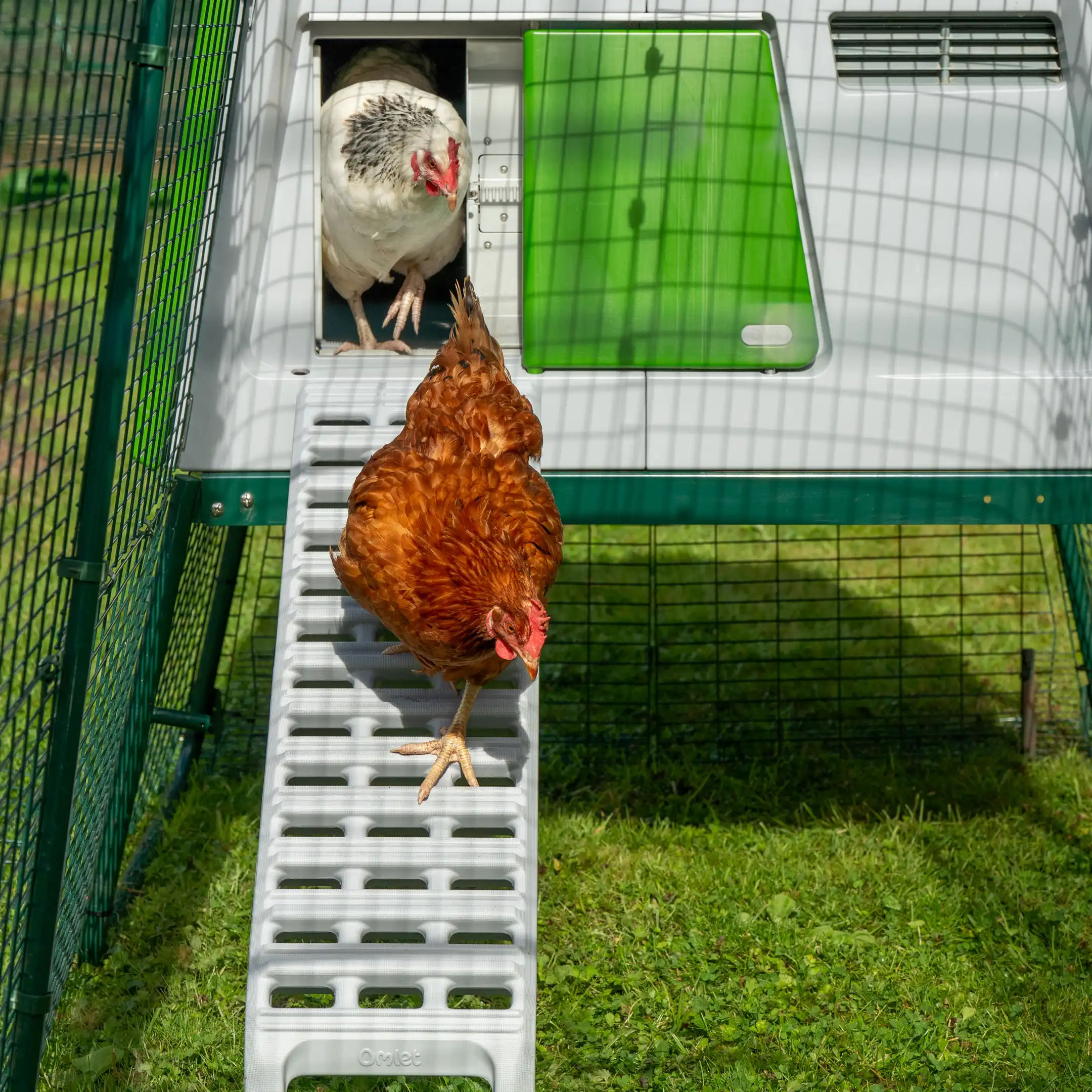 Ultimate Ladder for Eglu Cube Chicken Coop