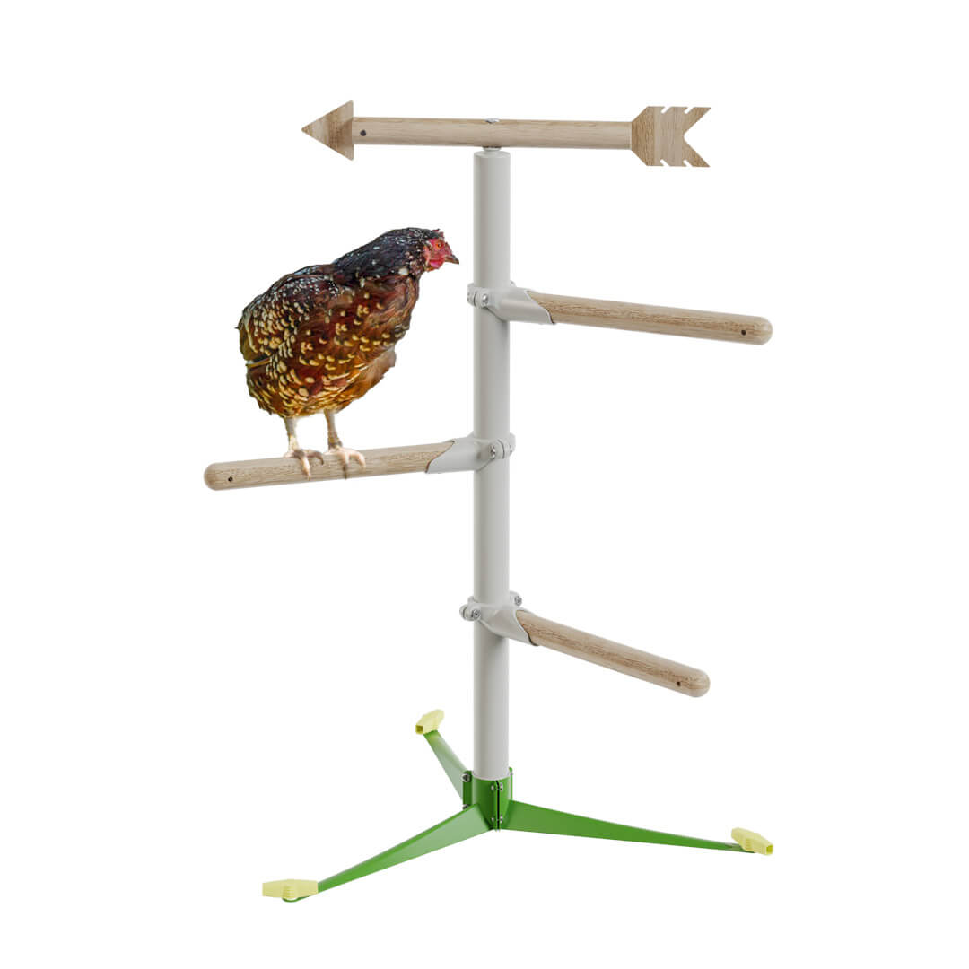 Freestanding Chicken Perch - Poultry Playground Kit