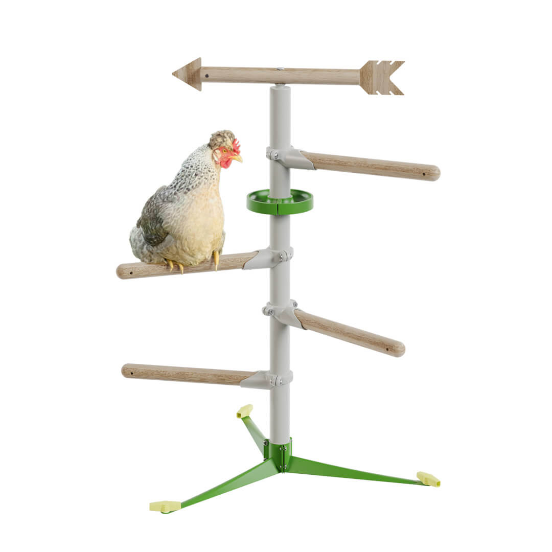 Freestanding Chicken Perch - Perching Pleasure Kit