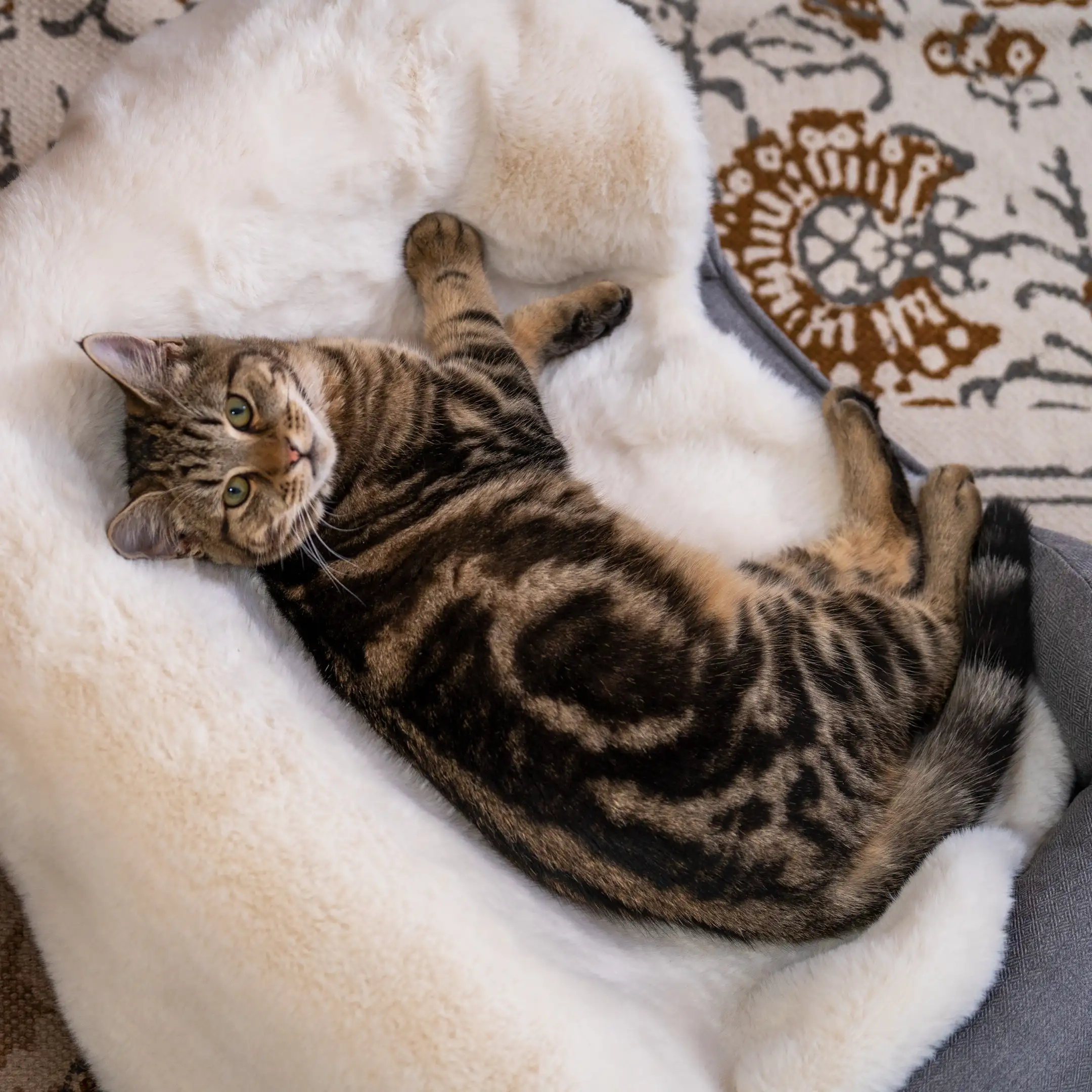 32-luxury-faux-sheepskin-cat-blanket-small-1.webp