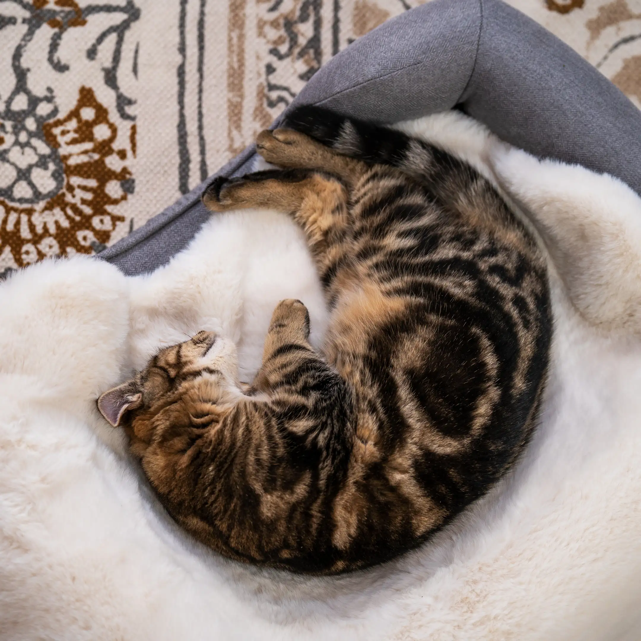 32-luxury-faux-sheepskin-cat-blanket-small-1.webp
