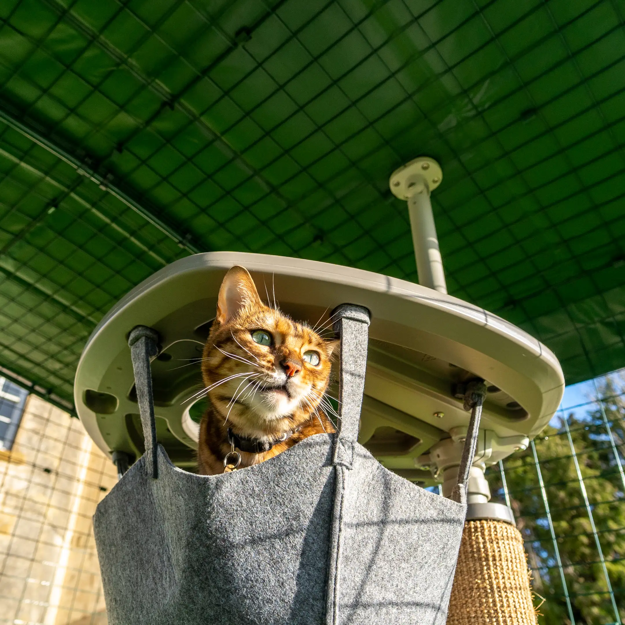 34-heavy-duty-catio-cat-run-run-cover-6ft-x-6ft-1.webp