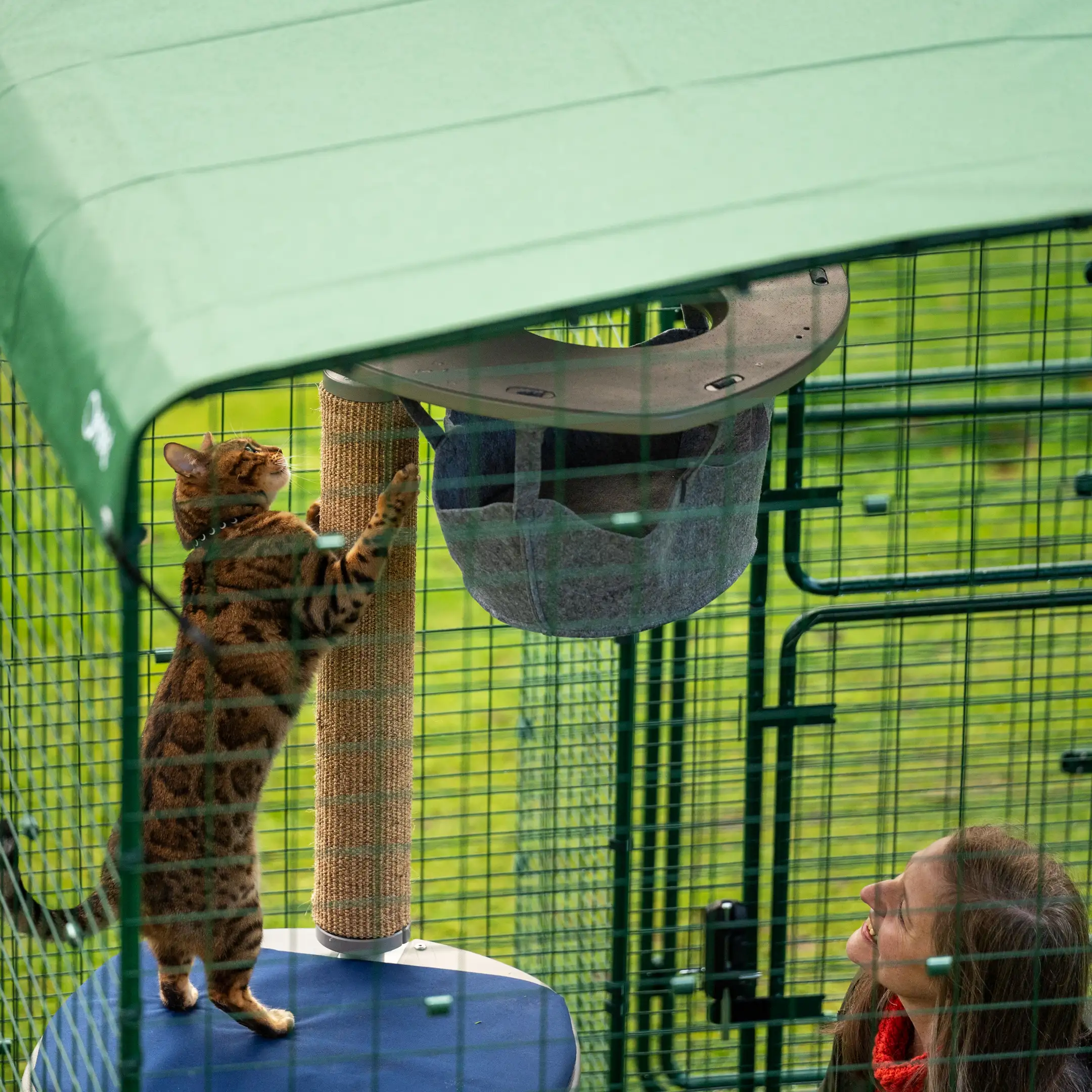 101-heavy-duty-catio-cat-run-cover-6ft-x-9ft-1.webp