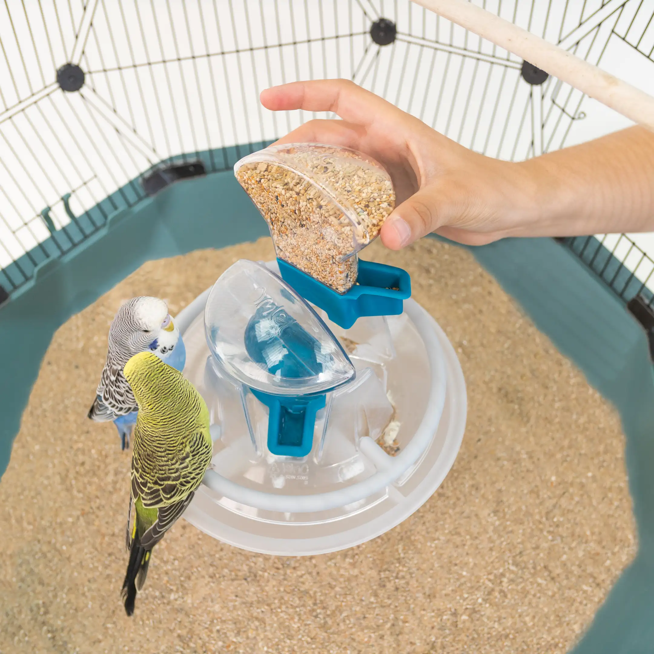 343-geo-bird-cage-feeder-and-drinker-1.webp