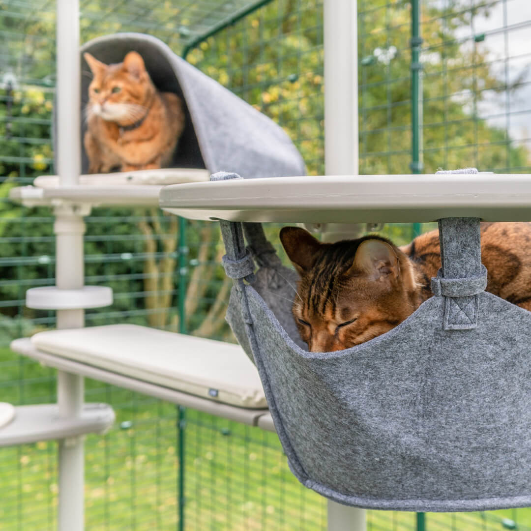 360-freestyle-cat-tree-plastic-hammock-platform-with-hammock-includes-bracket–1.jpg