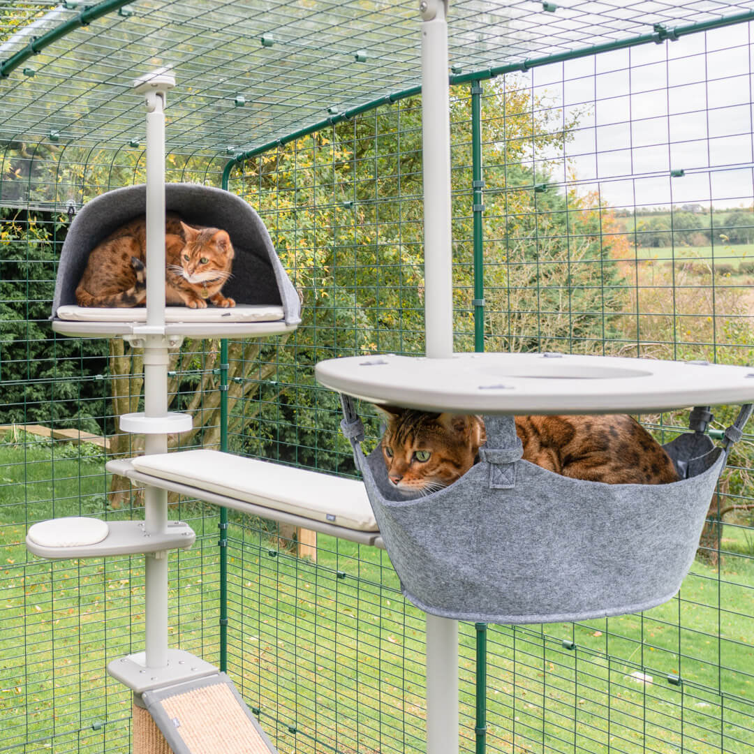 360-freestyle-cat-tree-plastic-hammock-platform-with-hammock-includes-bracket–1.jpg