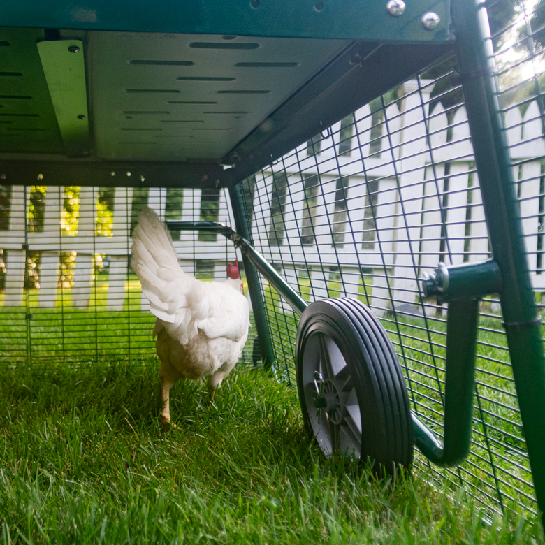 111-eglu-cube-chicken-coop-raccoon-resistant-run-extension-run-3.webp