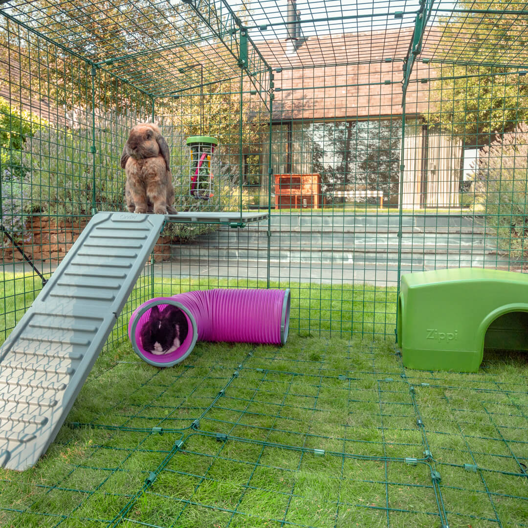 Zippi Rabbit Corner Platform