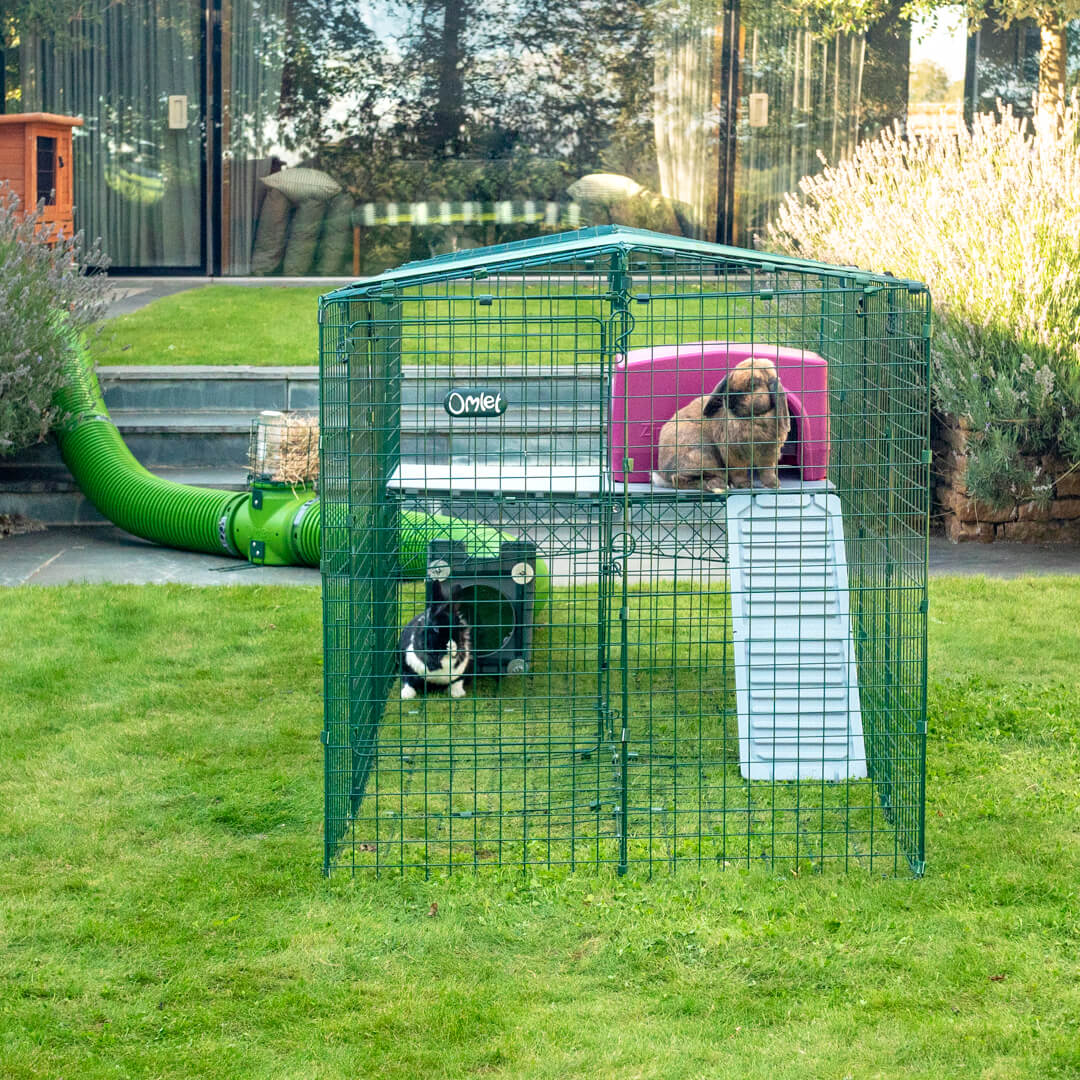 Zippi Rabbit Platforms - 2 panels