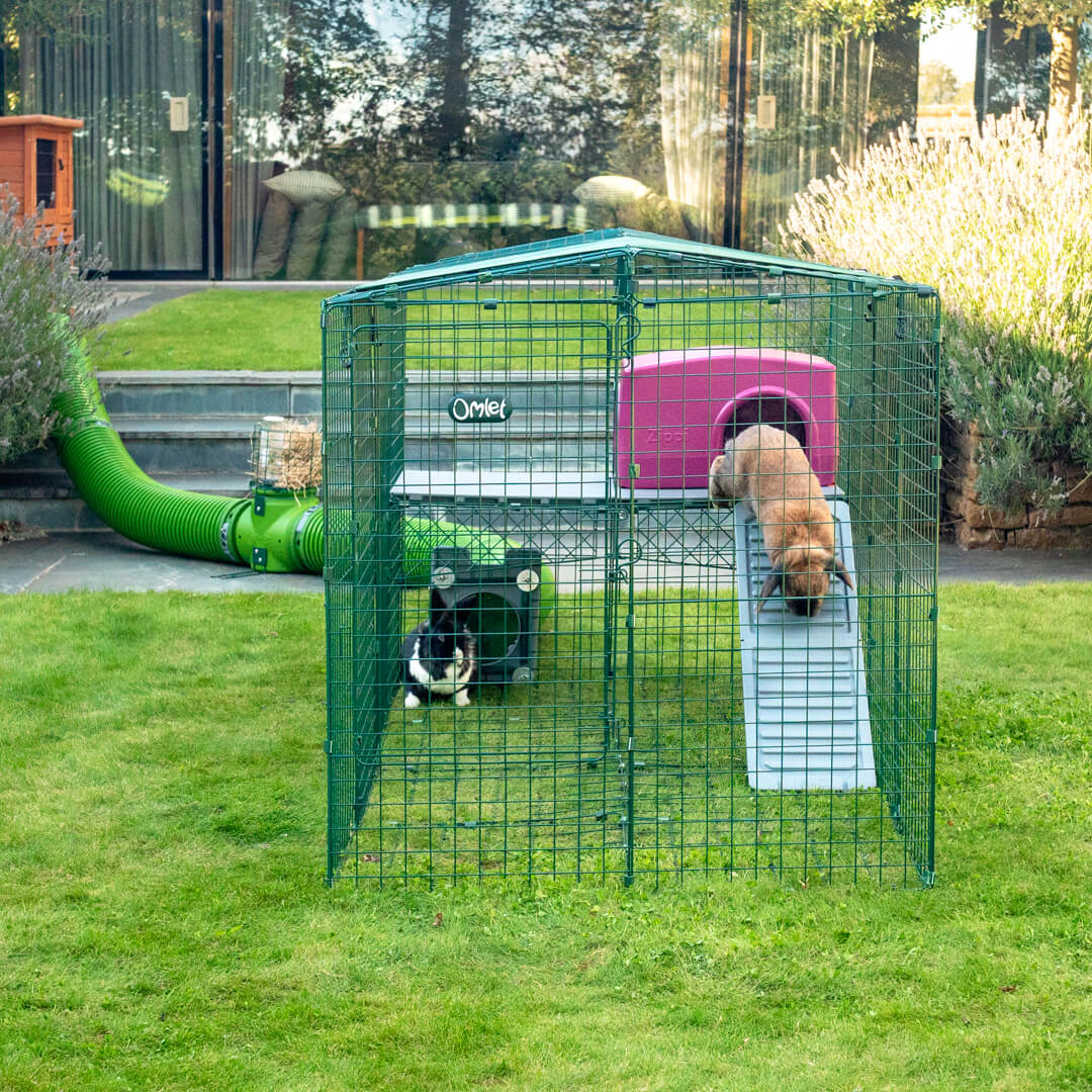 399-zippi-rabbit-platforms-2-panels-1.jpg