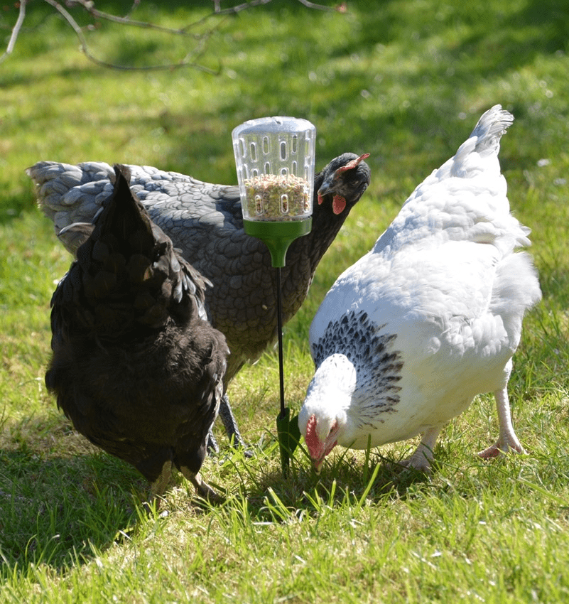 41-poppy-peck-toy-1.jpg