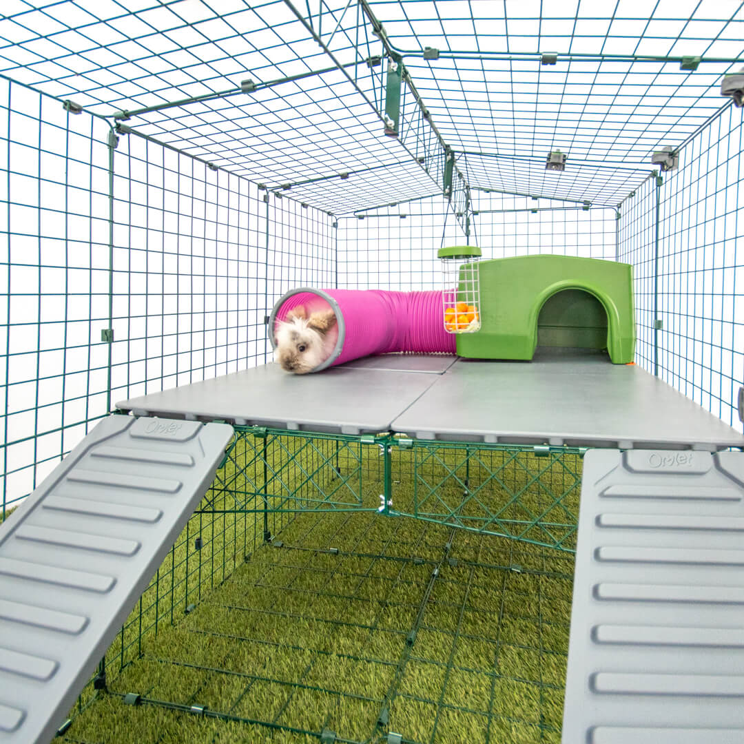 Zippi Rabbit Platforms - 4 panels - 2 ramps