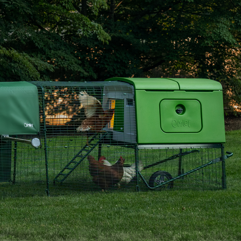 468-coop-light-automatic-chicken-coop-door-1.jpg