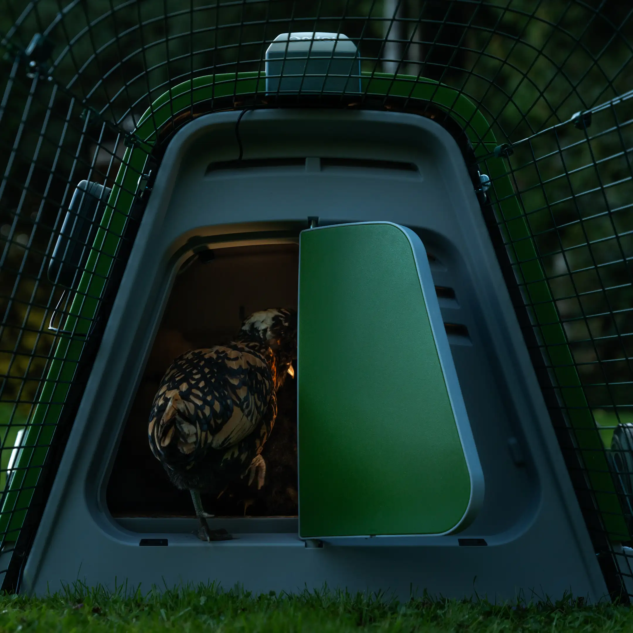 468-coop-light-automatic-chicken-coop-door-1.jpg