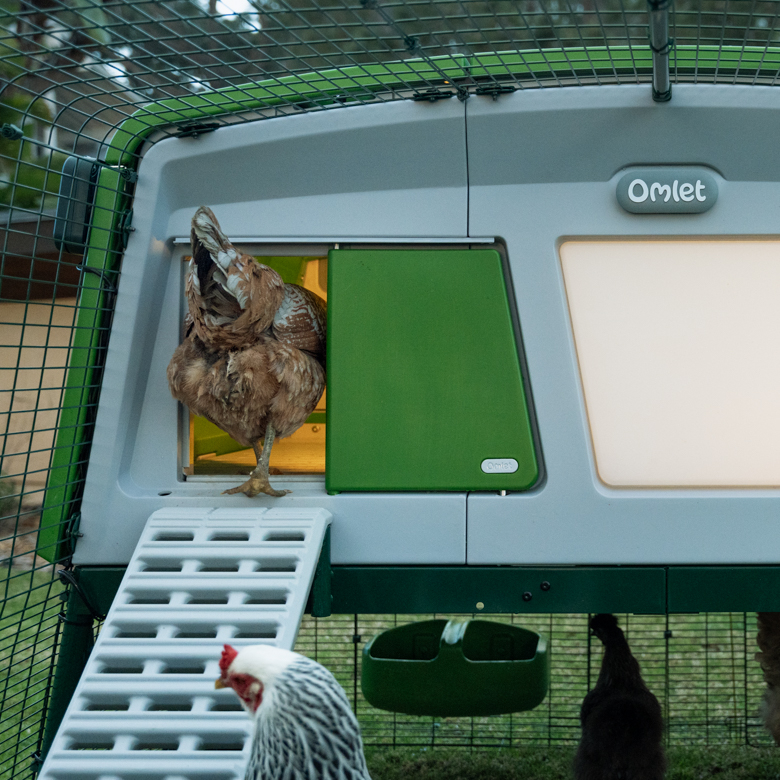 468-coop-light-automatic-chicken-coop-door-1.jpg