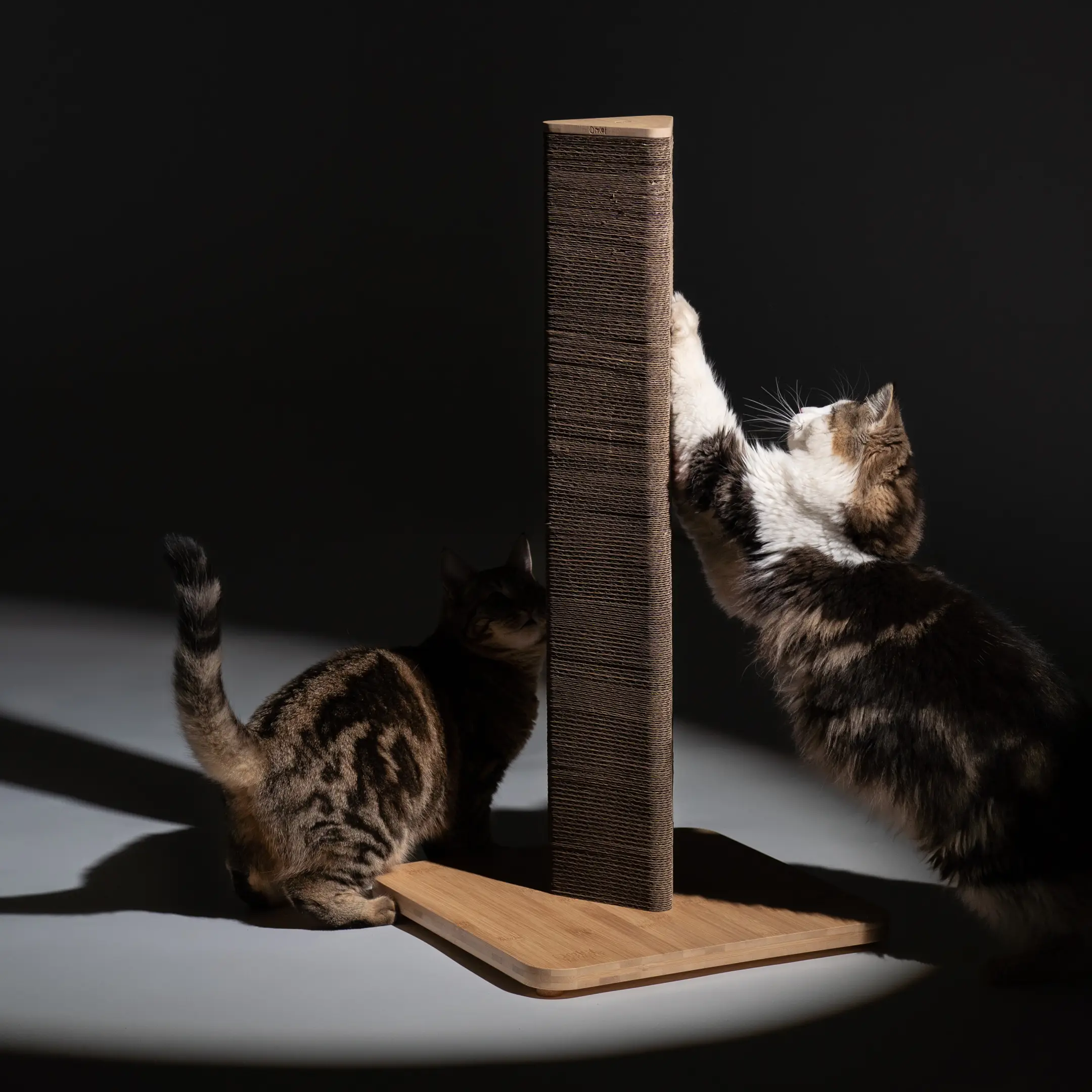 477-refillable-cardboard-cat-scratching-post-tall-1.jpg