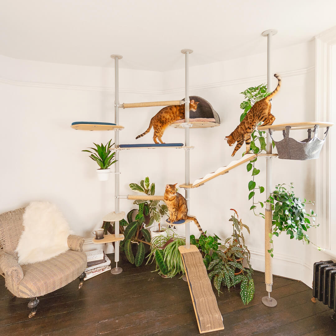 Freestyle Cat Tree - Plant Pot - 16cm (excludes plant)
