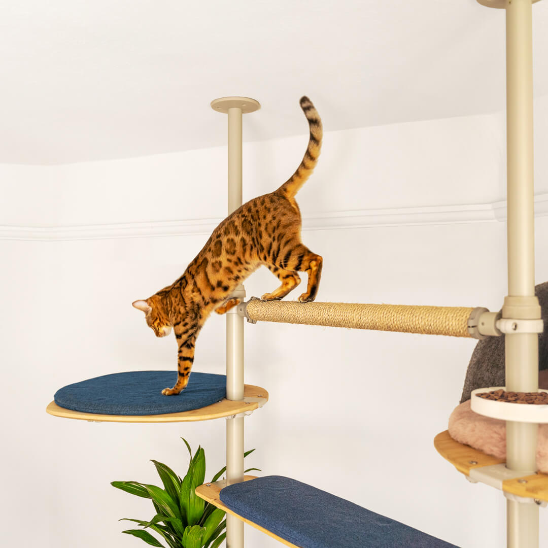 347-poletree-chicken-perch-tree-pole-for-hi-rise-walk-in-run-1.jpg