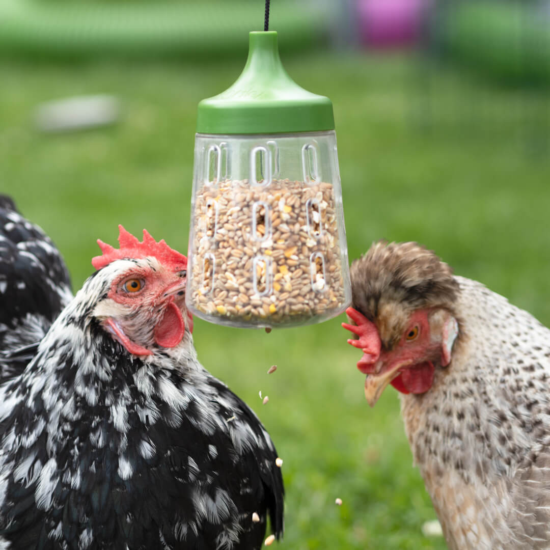 Pendant Peck Toy