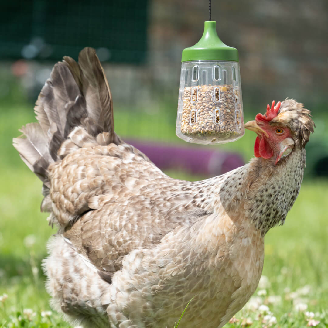5-pendant-peck-toy-1.jpg