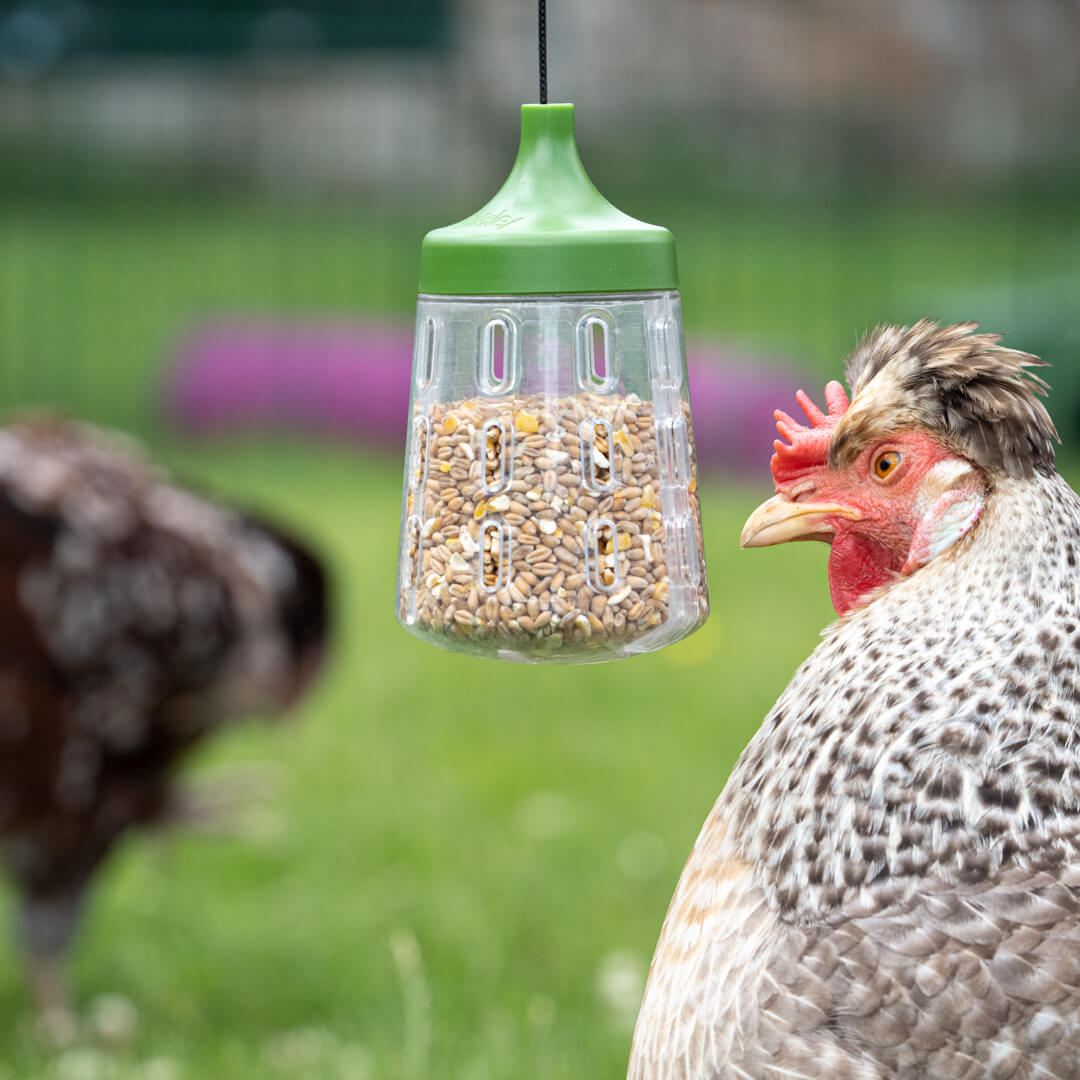 5-pendant-peck-toy-1.jpg