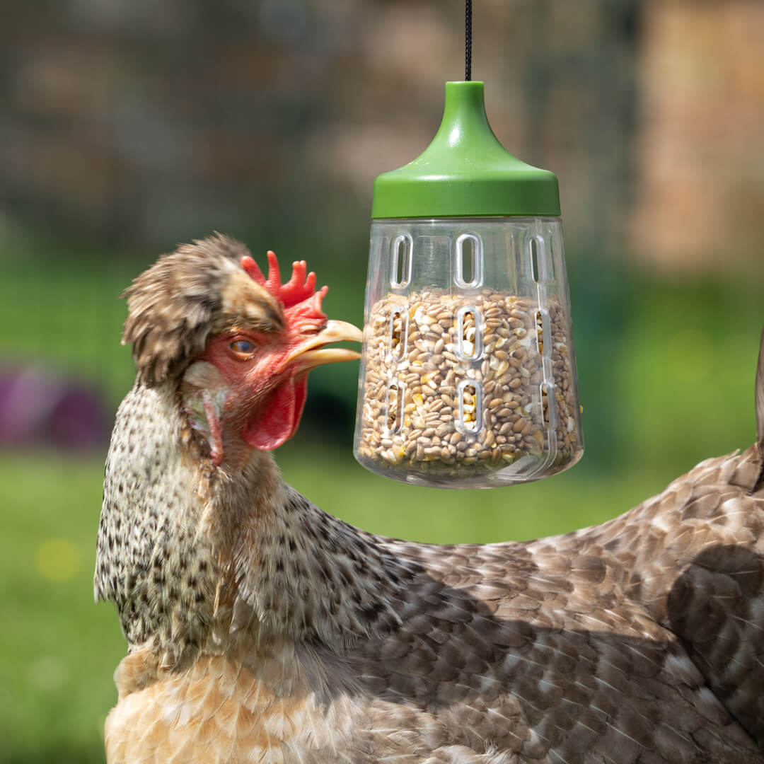 5-pendant-peck-toy-1.jpg