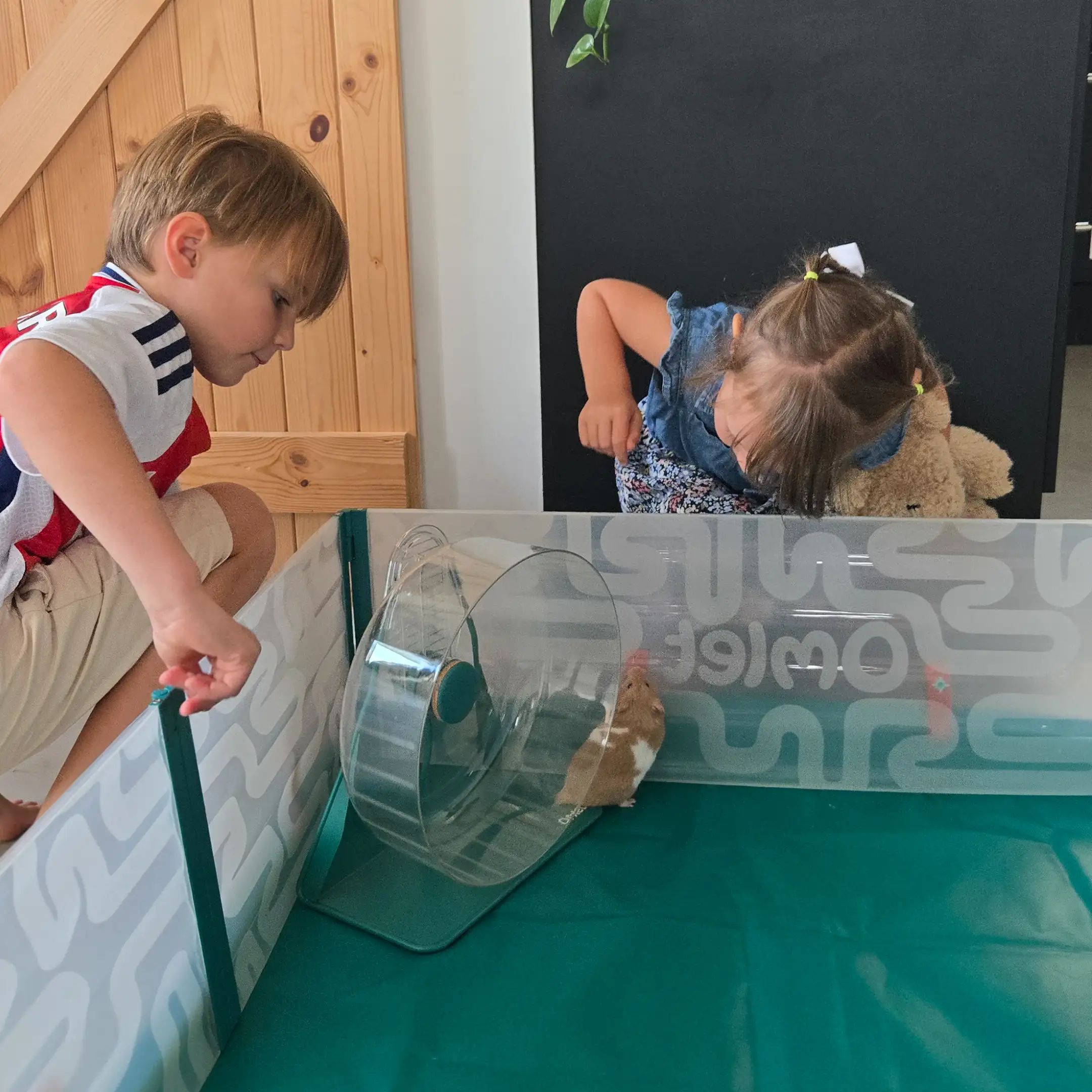 163-large-hamster-playpen-with-floor-1.jpg