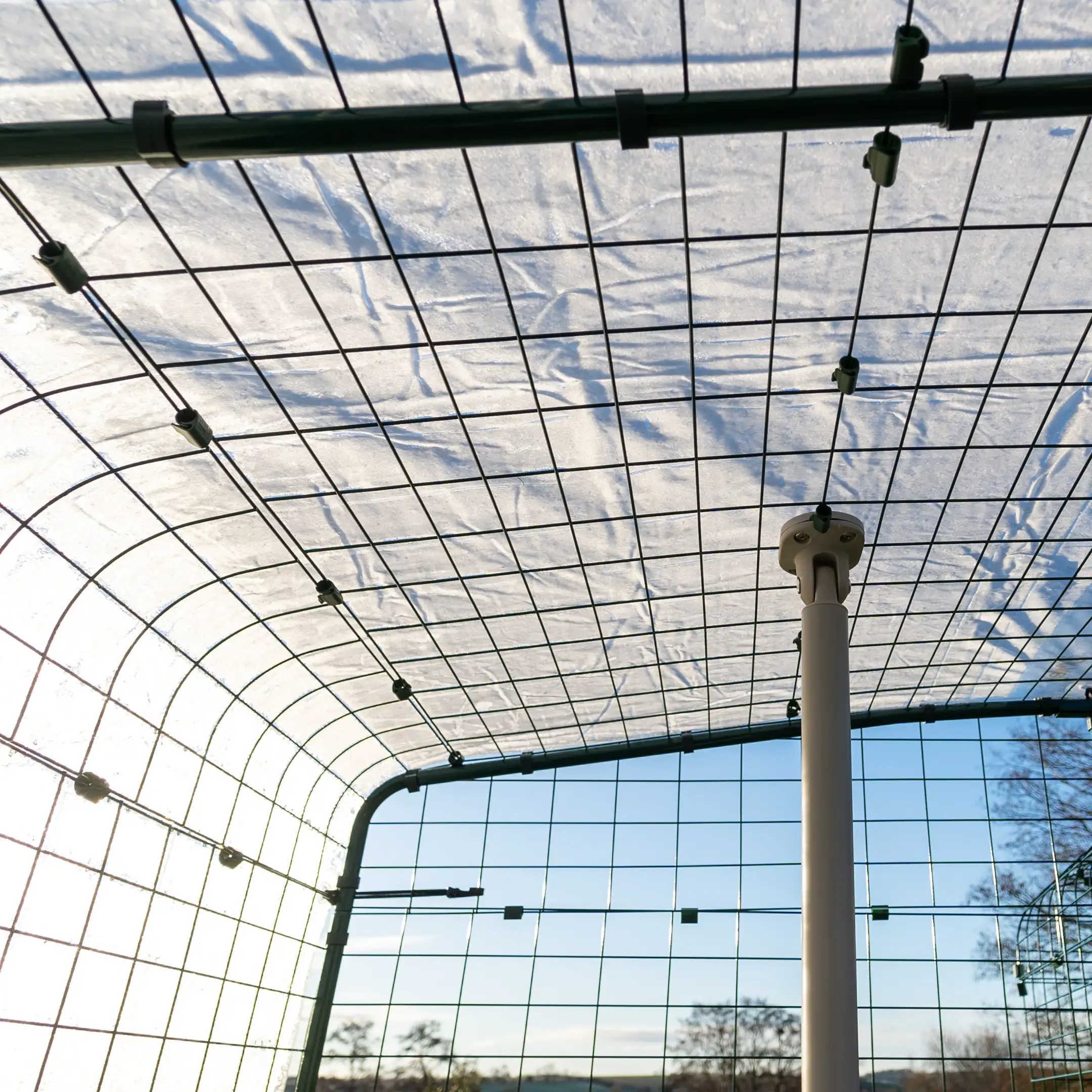 Clear Chicken Run Cover - 6ft x 9ft