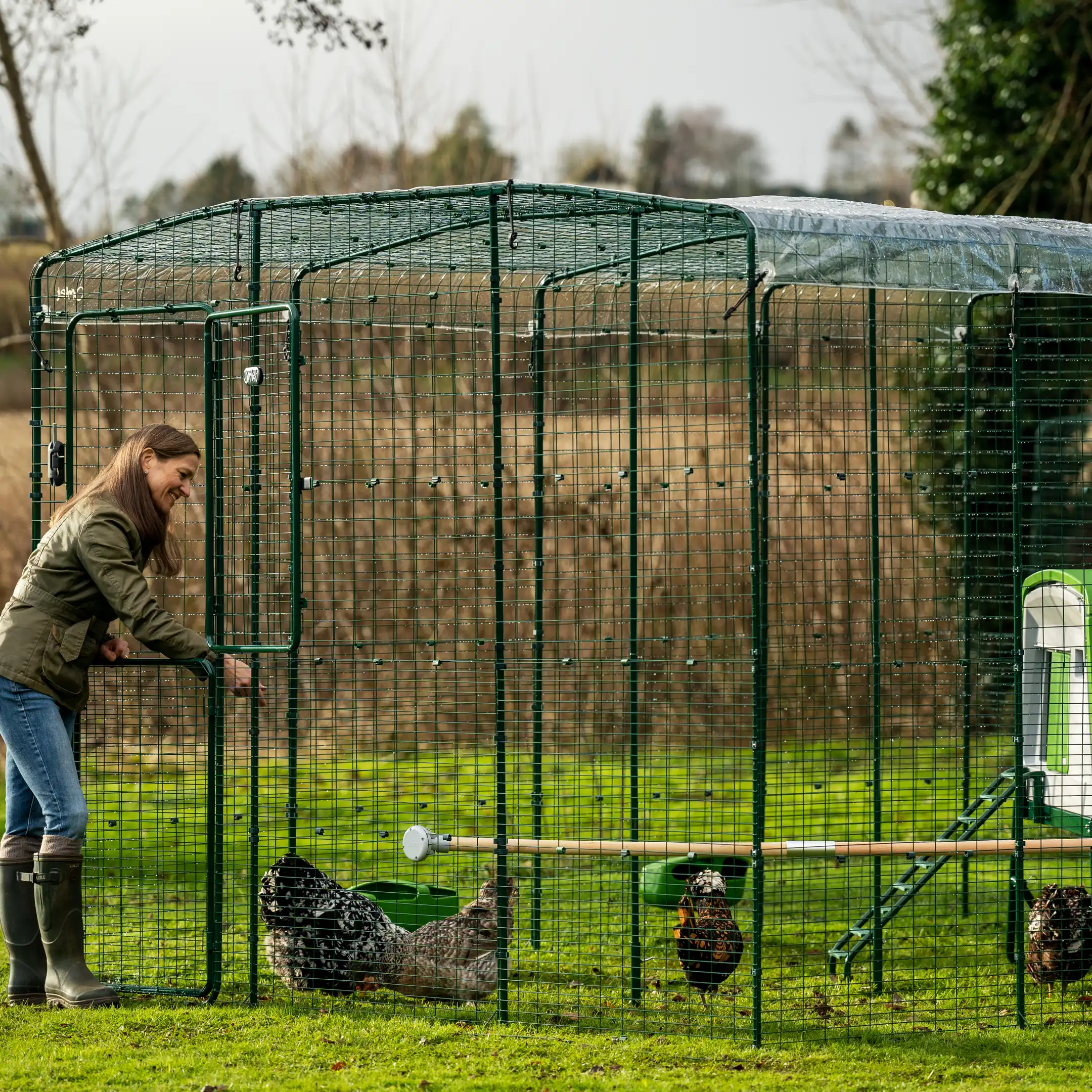 116-clear-chicken-run-cover-9ft-x-9ft-1.webp