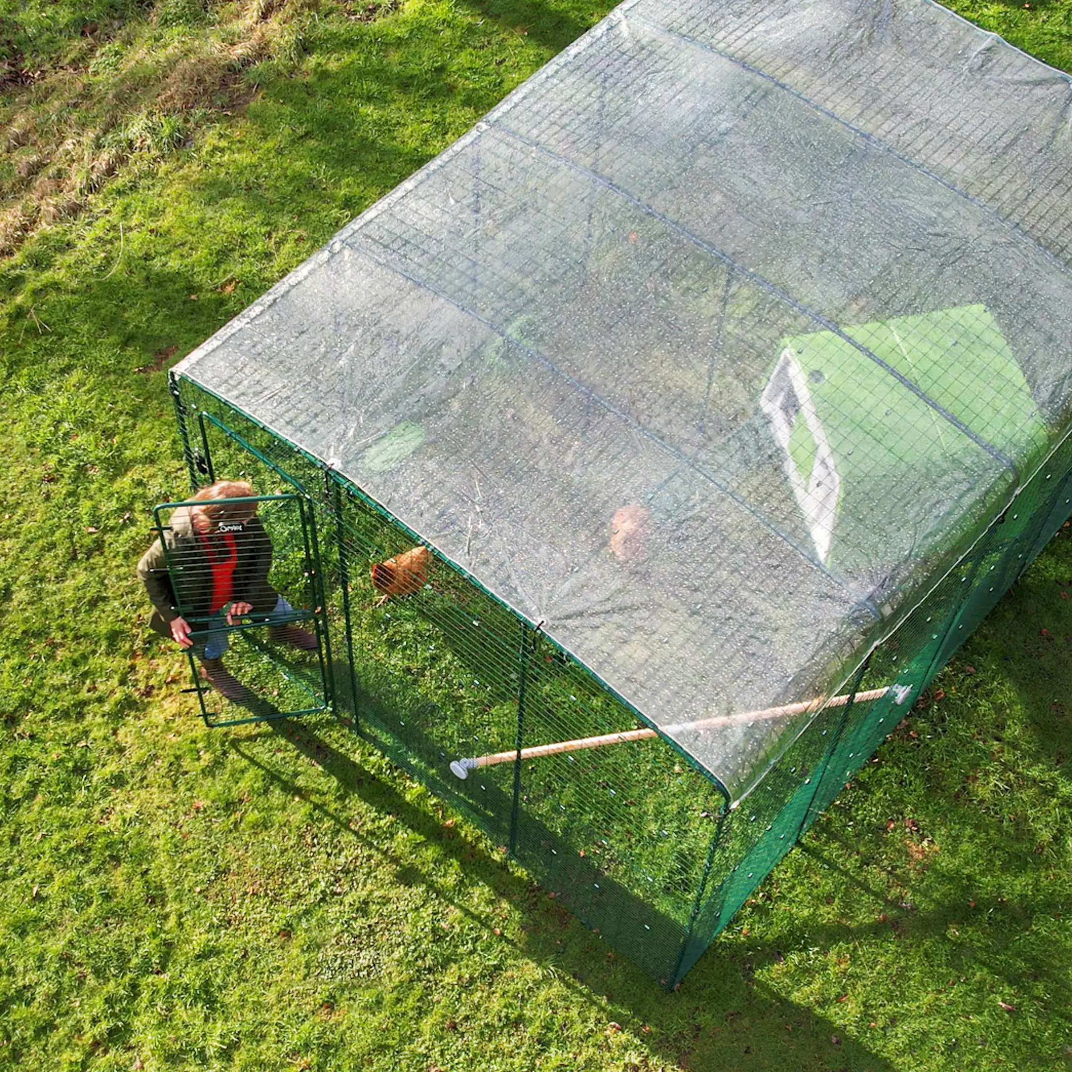 Clear Chicken Run Cover - 6ft x 9ft