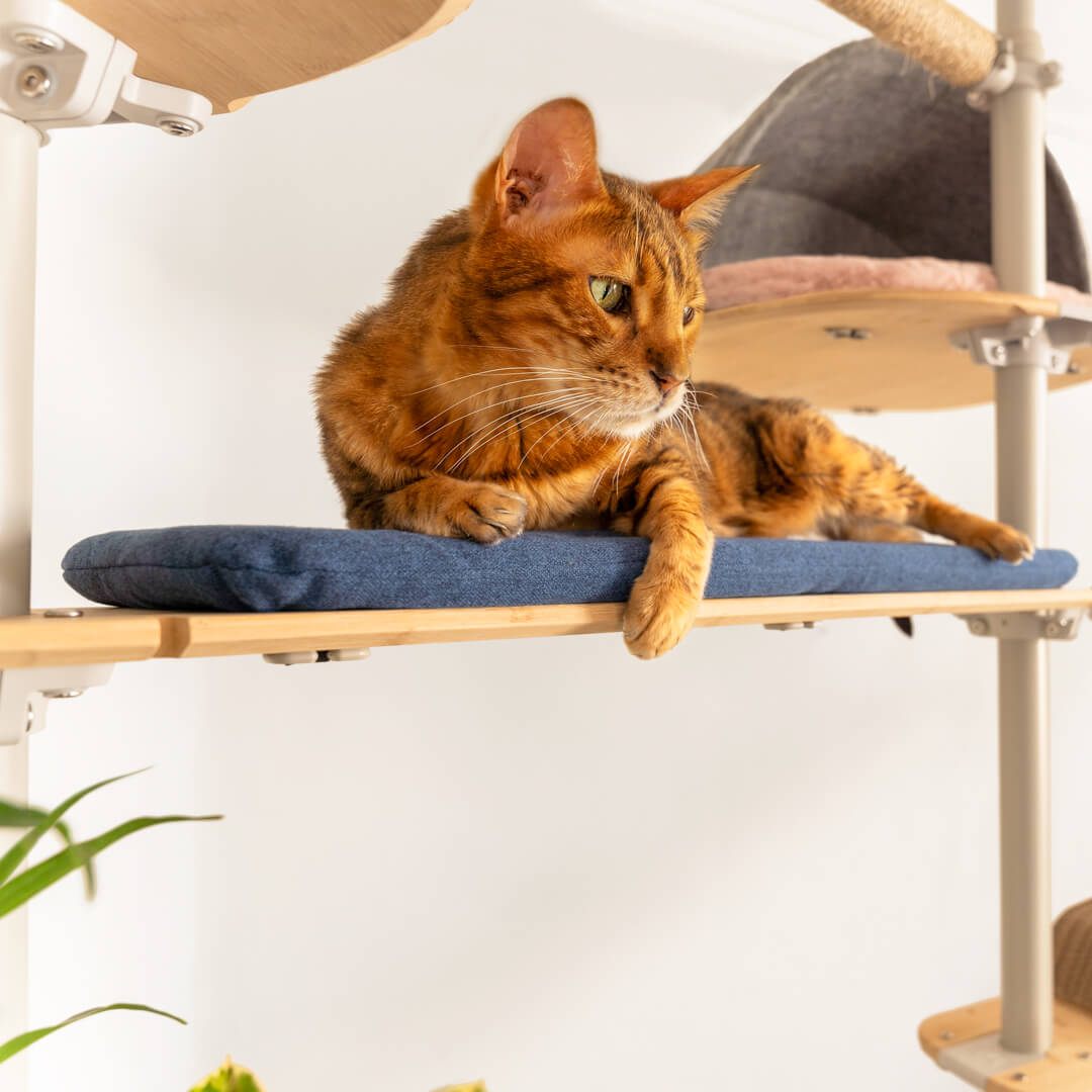 Freestyle - Bamboo Bridge with Woven Blue Cushion (includes brackets)