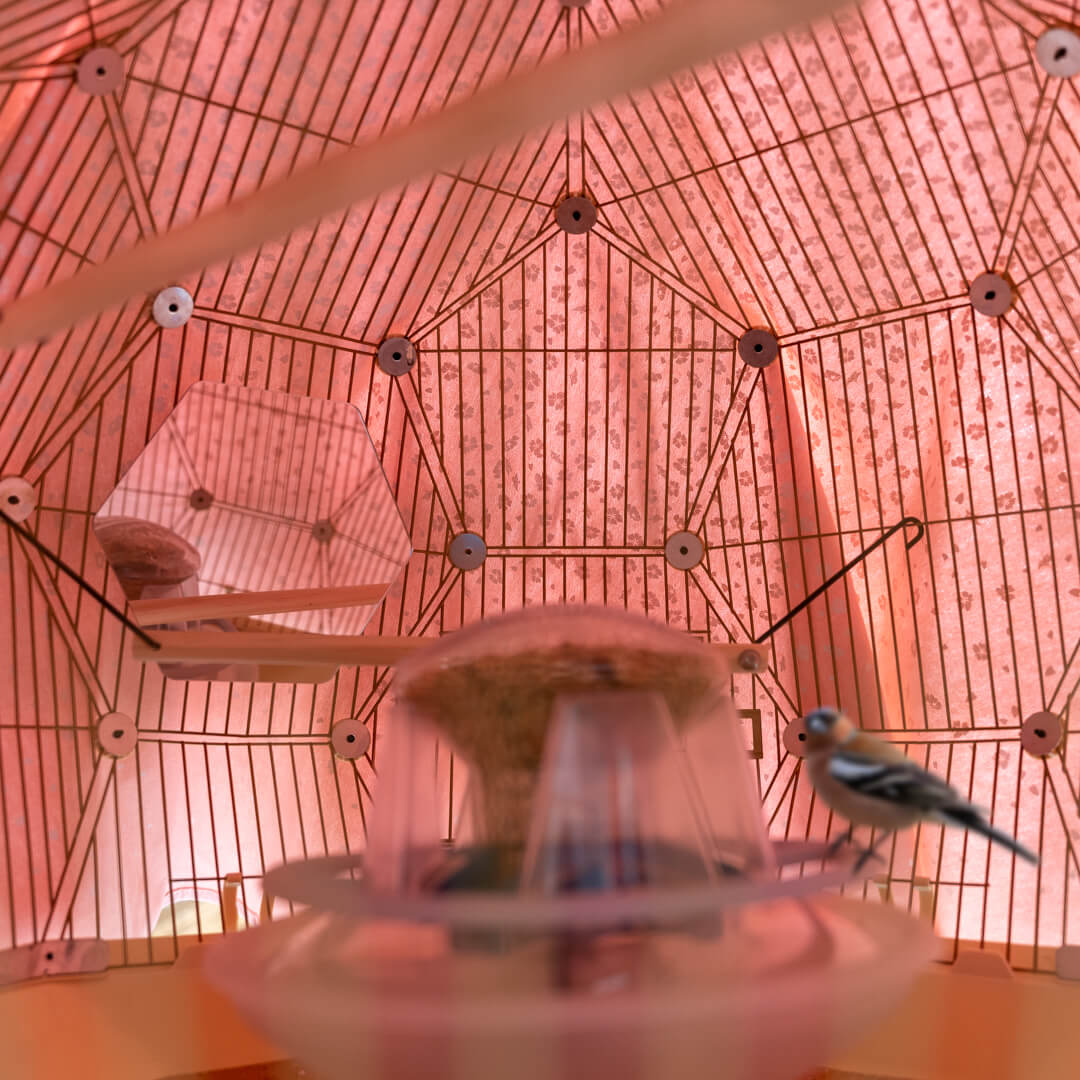 61-geo-bird-cage-night-cover-blossom-pink-1.jpg