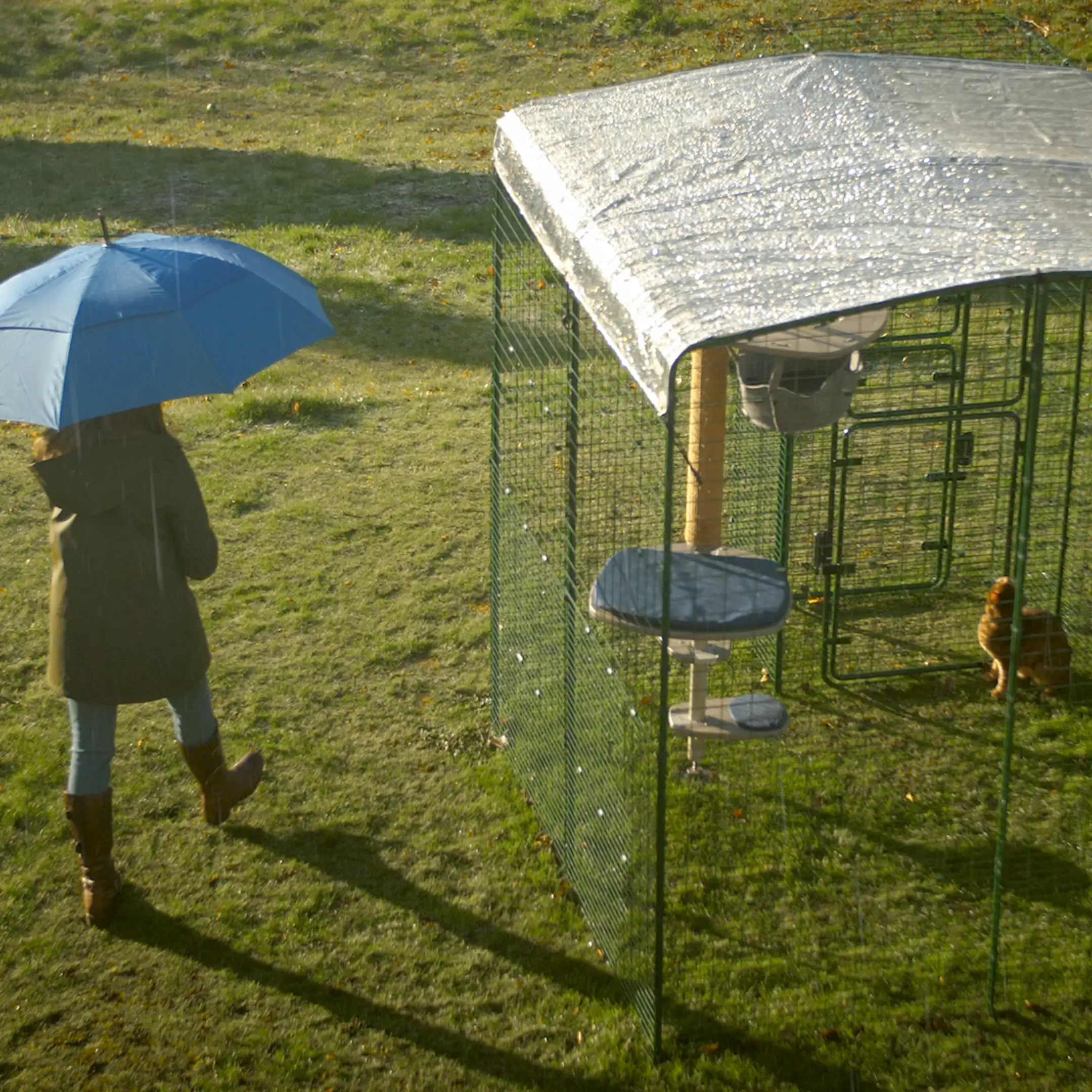 242-clear-catio-cat-run-cover-9ft-x-12ft-1.webp