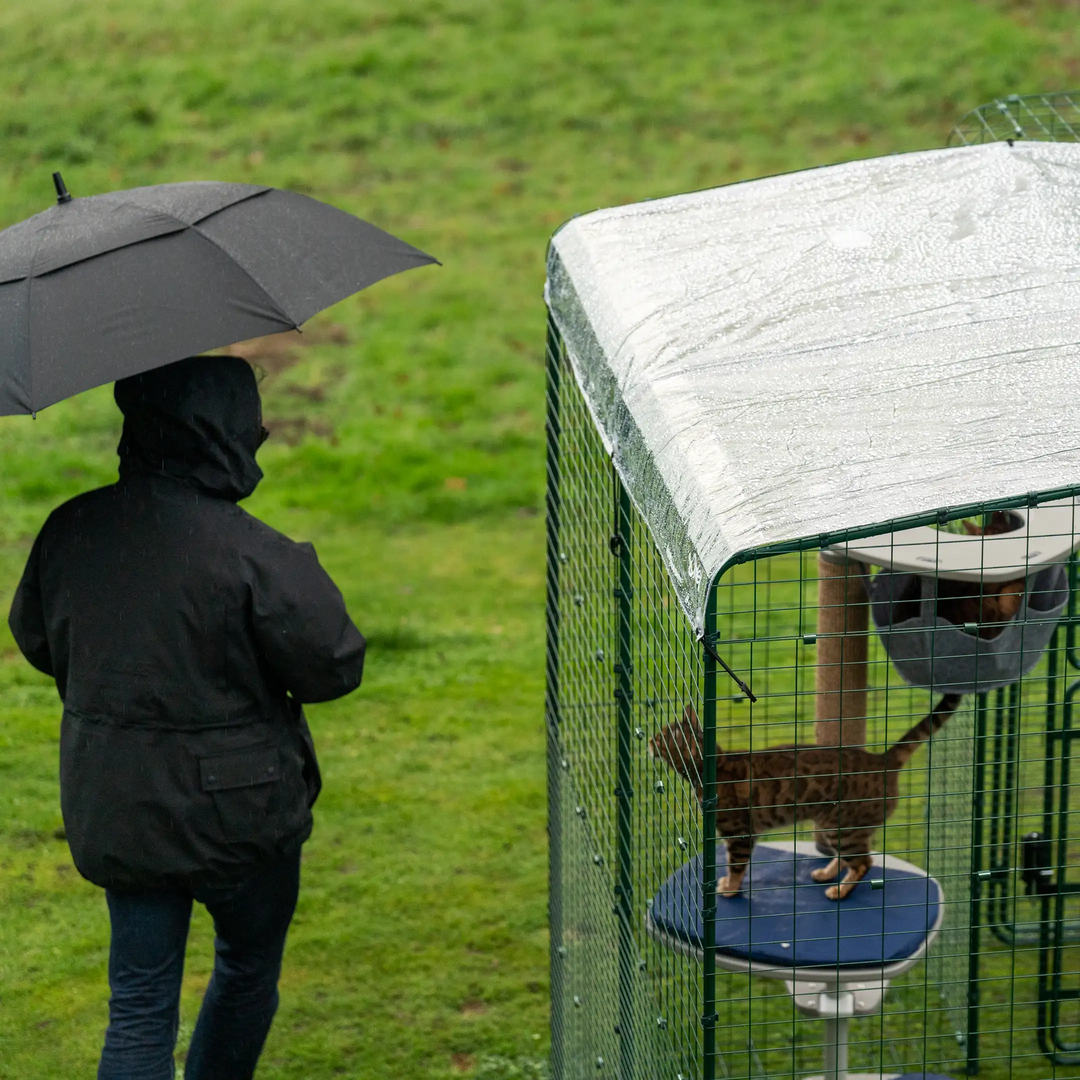 242-clear-catio-cat-run-cover-9ft-x-12ft-1.webp