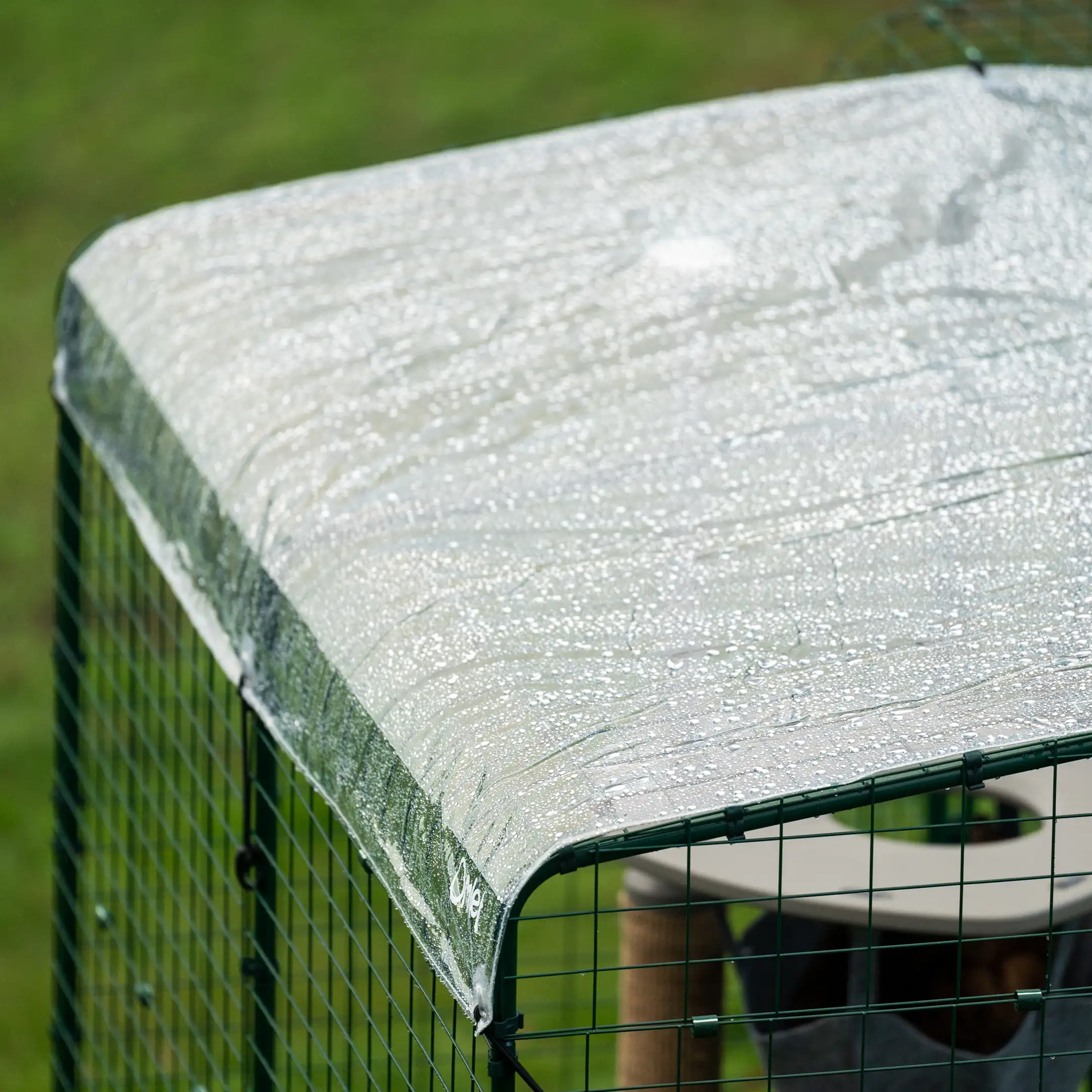 242-clear-catio-cat-run-cover-9ft-x-12ft-1.webp